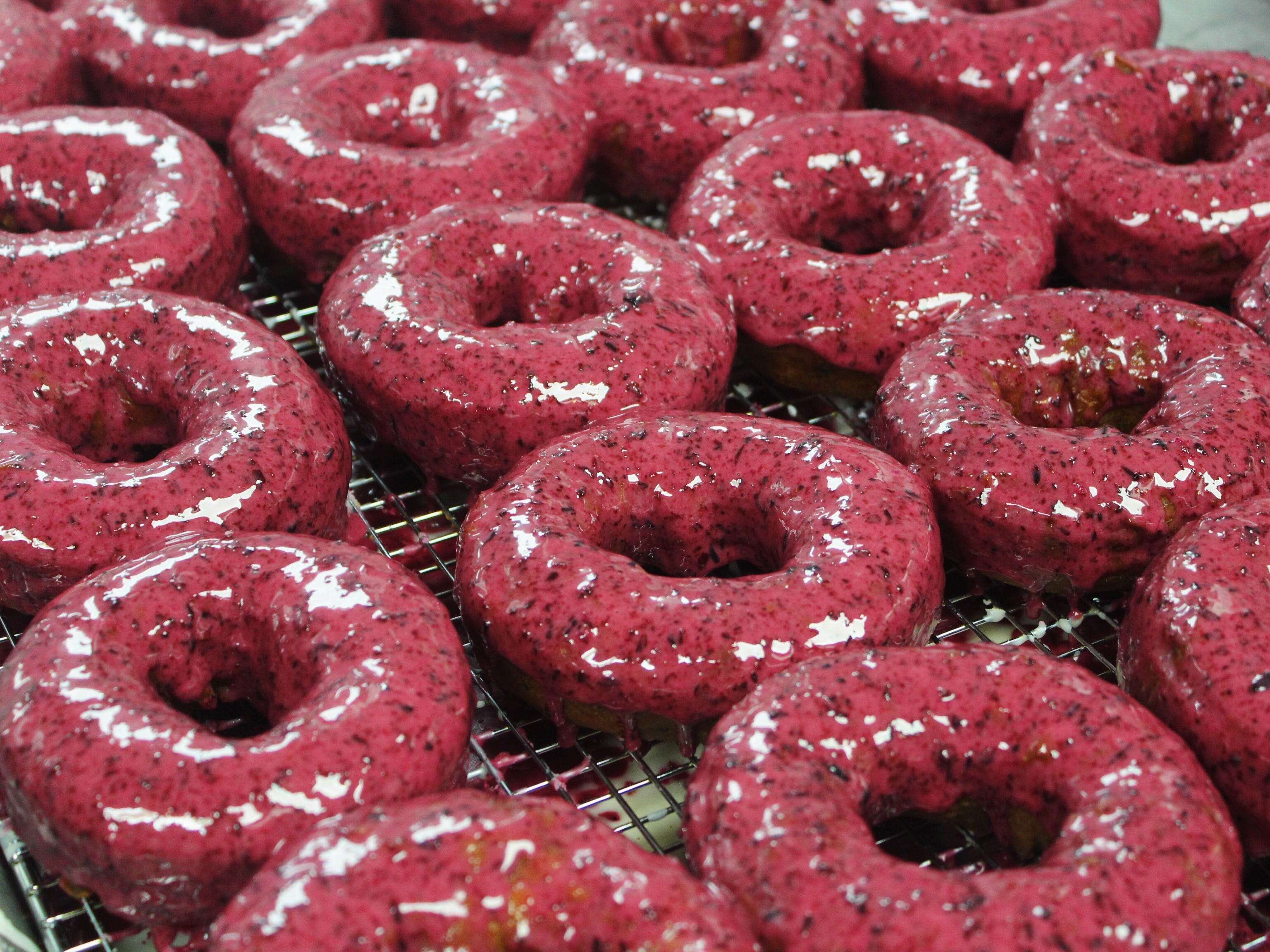 I tried popular flavors at one of the most famous doughnut shops in Maine. I'd travel miles just for the blueberry glazed.