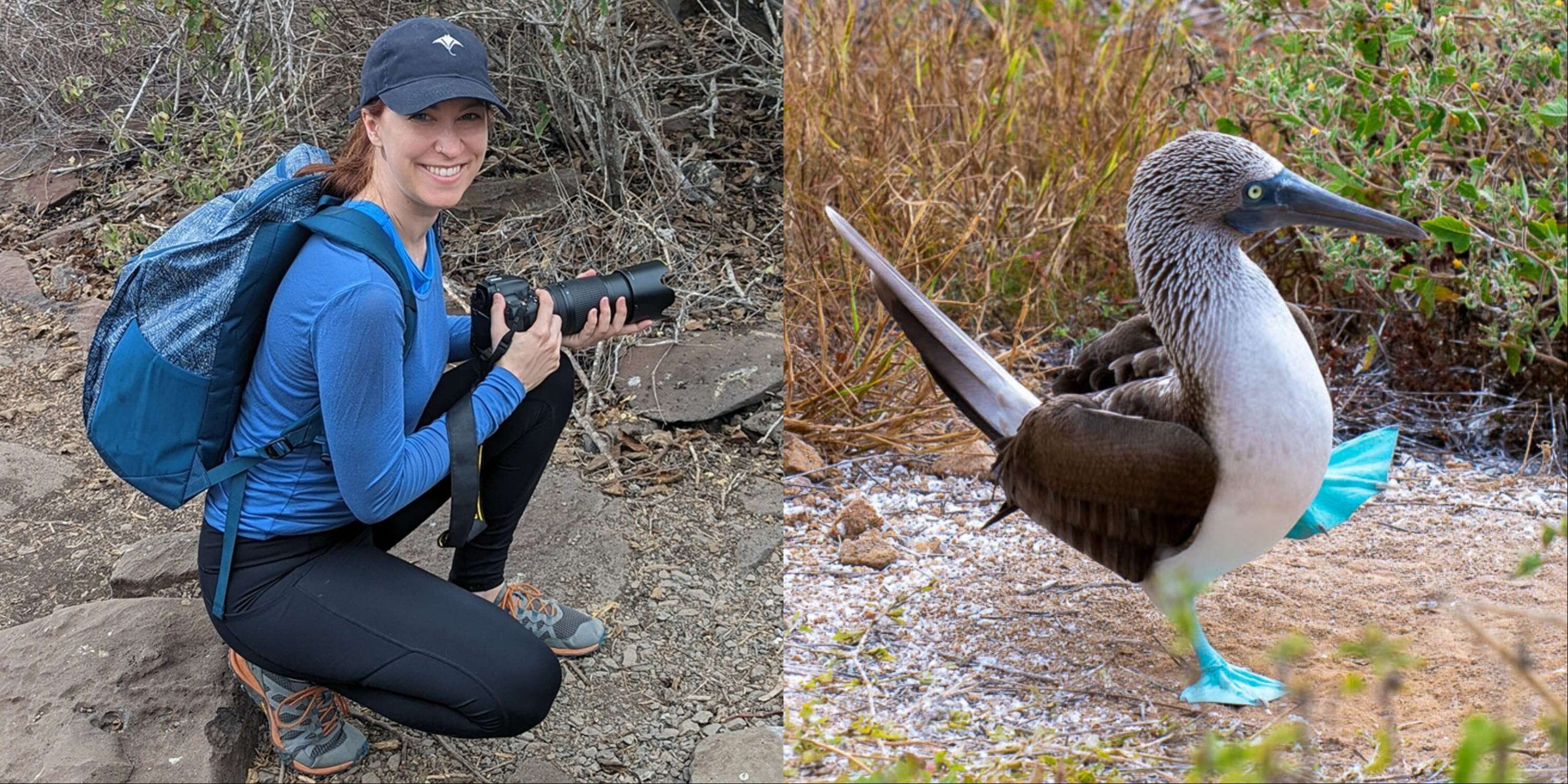 I've been to the 13 main Galápagos Islands. Every traveler should have these 9 incredible experiences while visiting.