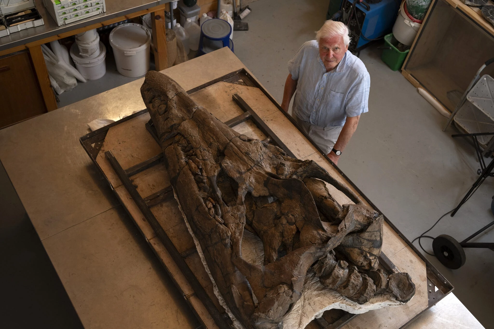 The body of a 150 million-year-old sea monster is lurking under a British cliff, says a scientist. Time is running out to find it. 