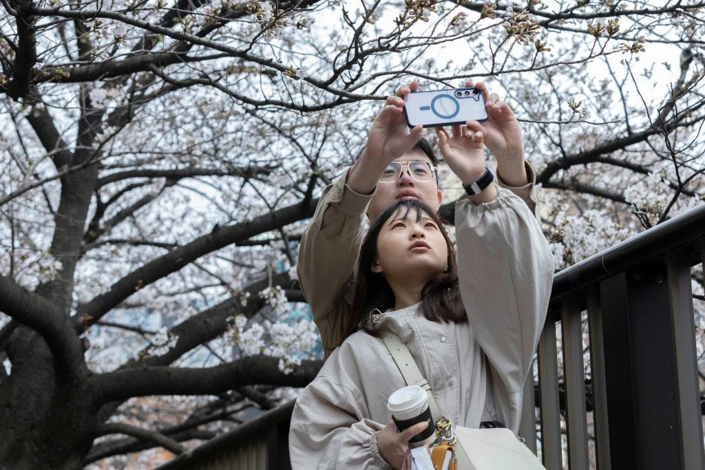 Tokyo is launching a dating app where users have to verify their income and promise they want to get married, as Japan fights tumbling birth rates