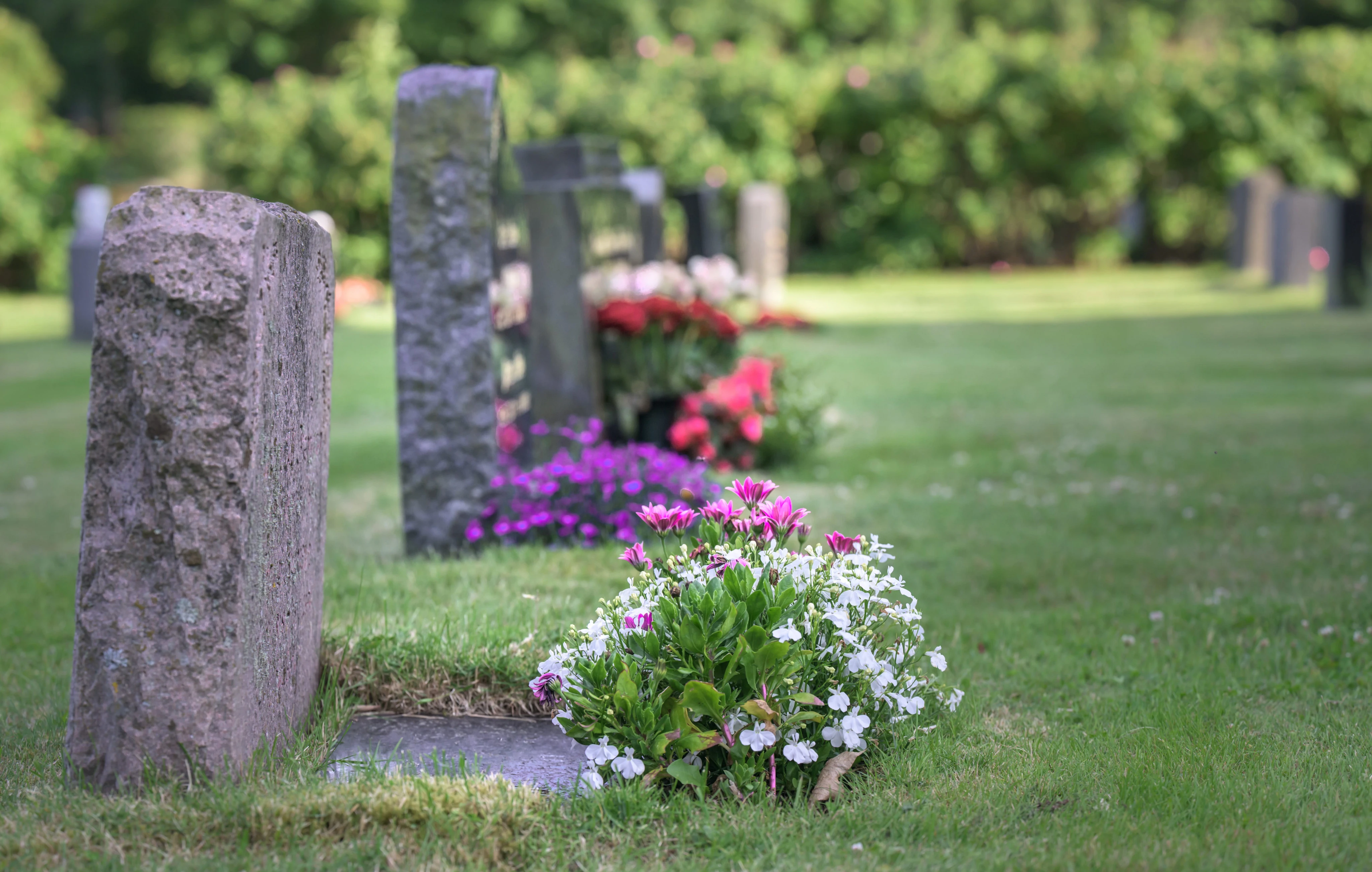 My husband and I are only in our 40s and healthy, but we're already planning our funerals. Our guests will not be wearing black.