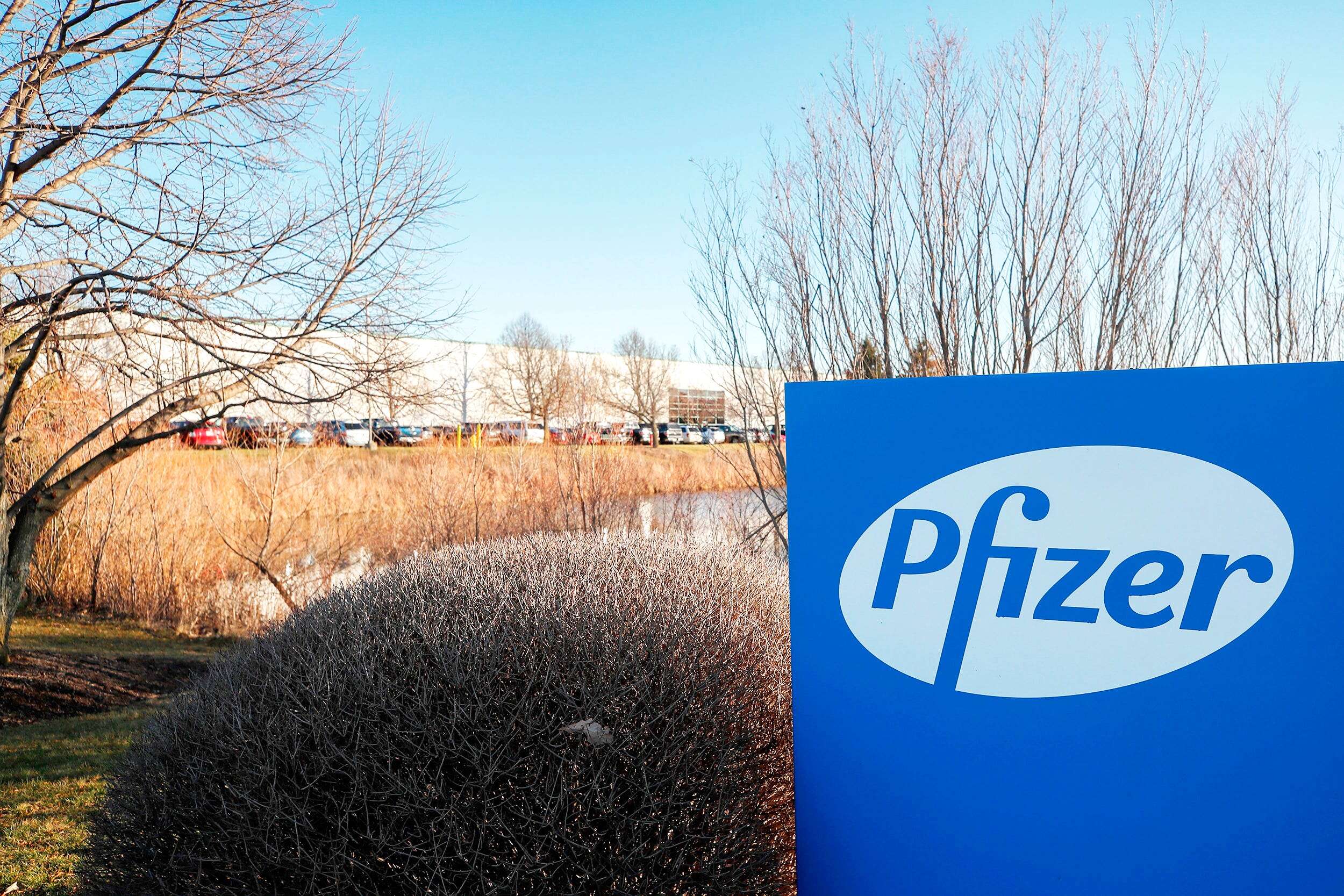 Activist investor Starboard has just informed Pfizer it has taken a significant stake 