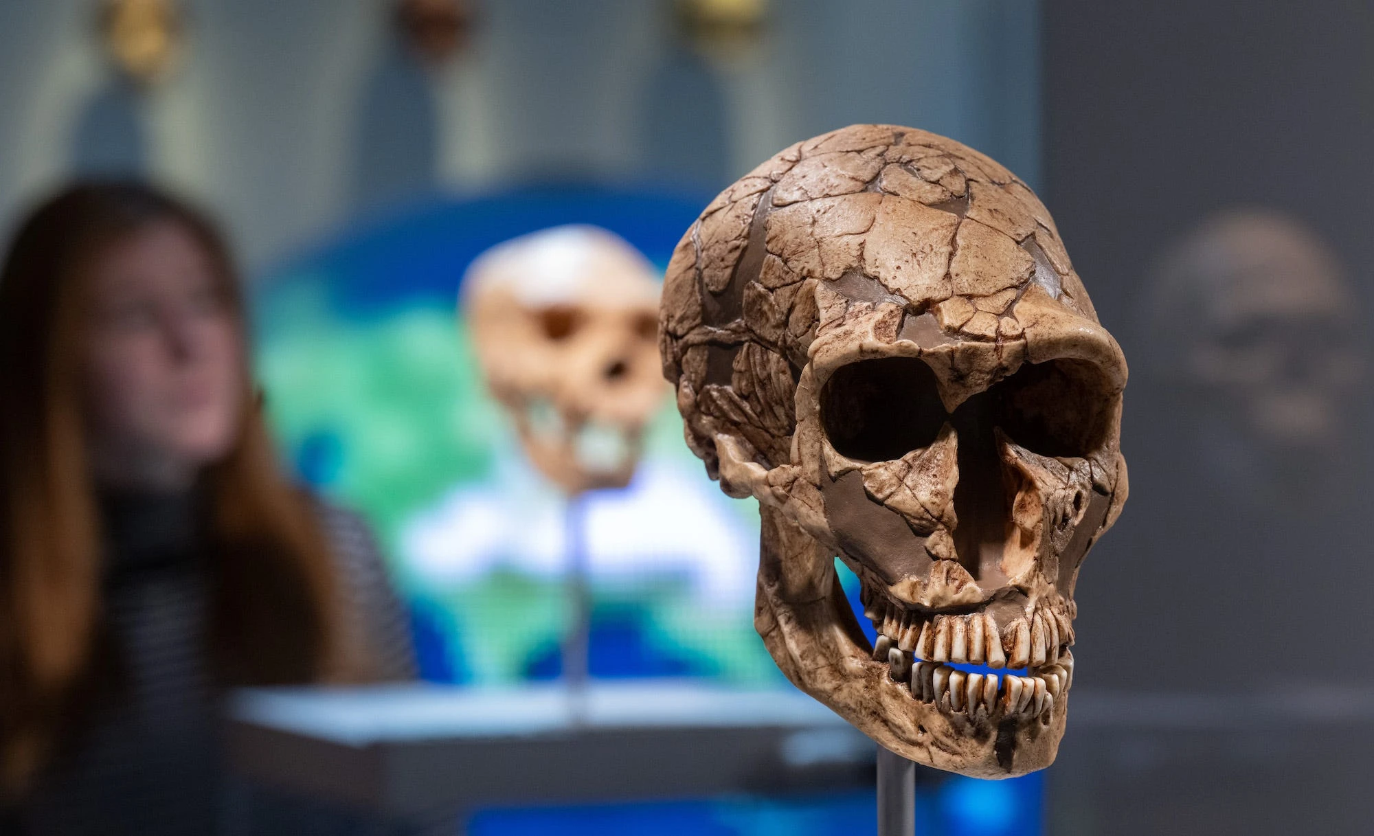 If you're an early riser, you may have Neanderthal DNA to thank for it