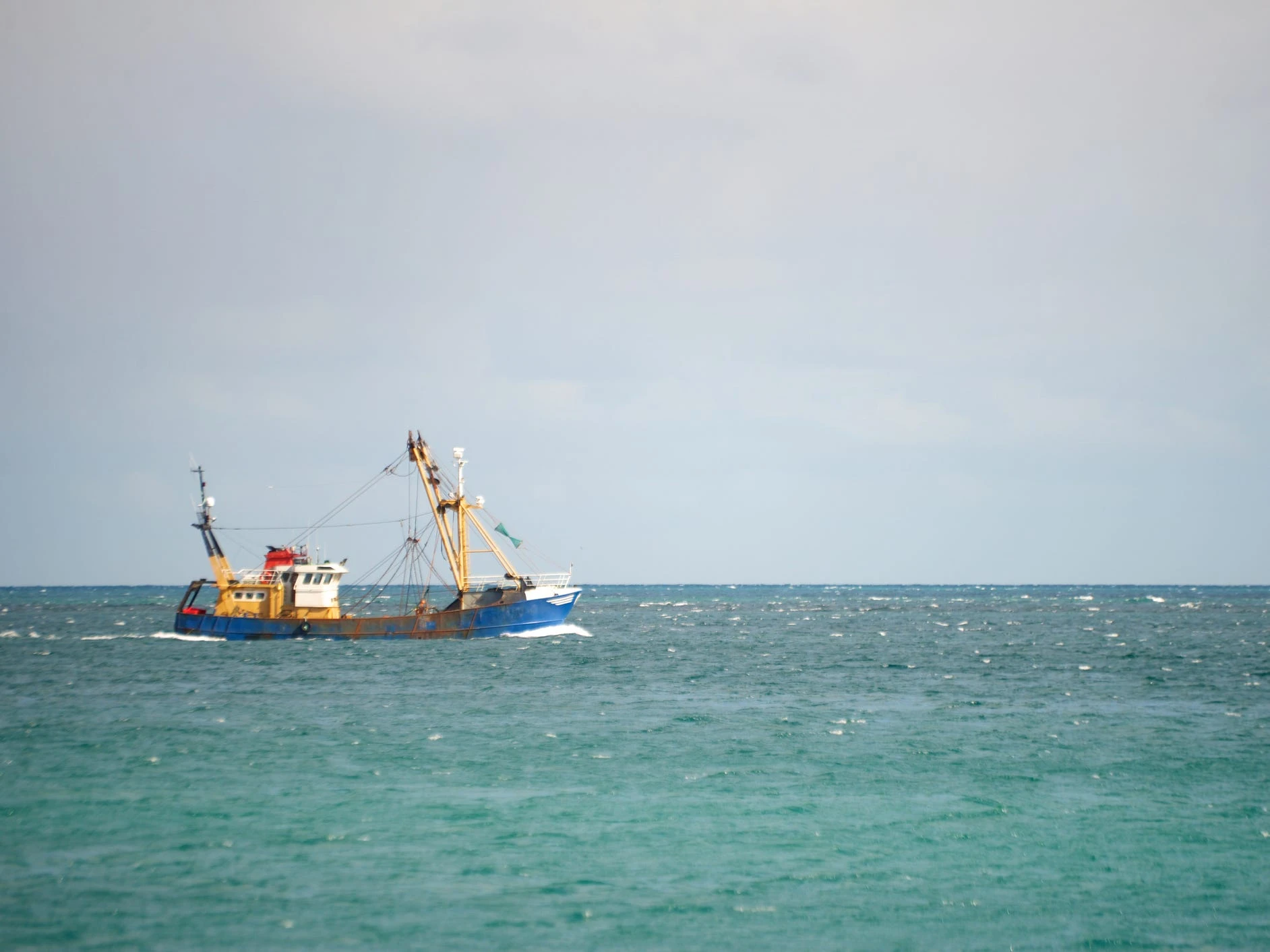 A media giant is suing scallop farmers for $870K, accusing them of damaging its underwater cable