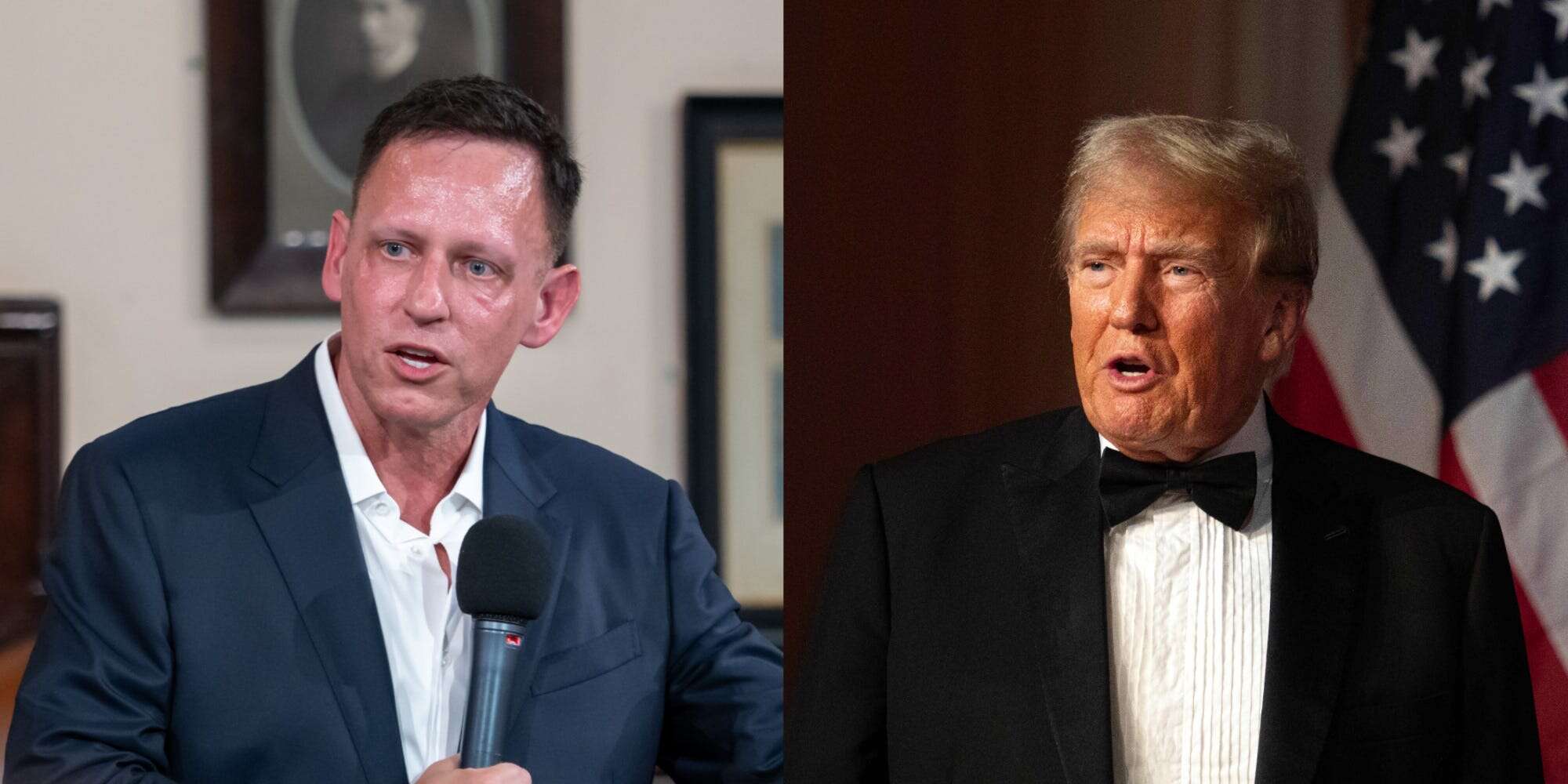 Peter Thiel says he wouldn't take a 'full-time' Trump administration job: 'I'd be depressed and crazy'