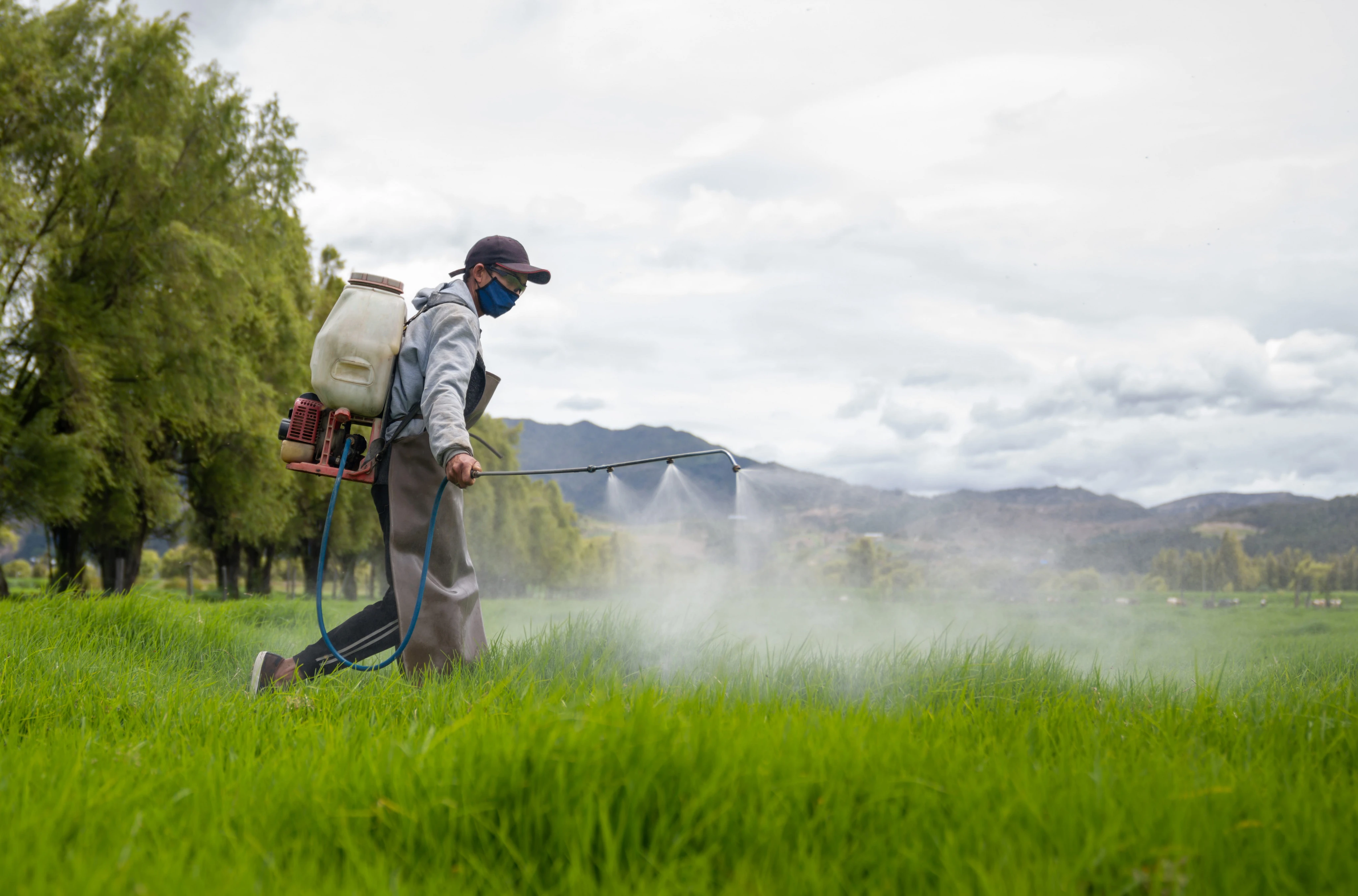 Why are young people getting colon cancer? A common weed killer may be linked, scientists say
