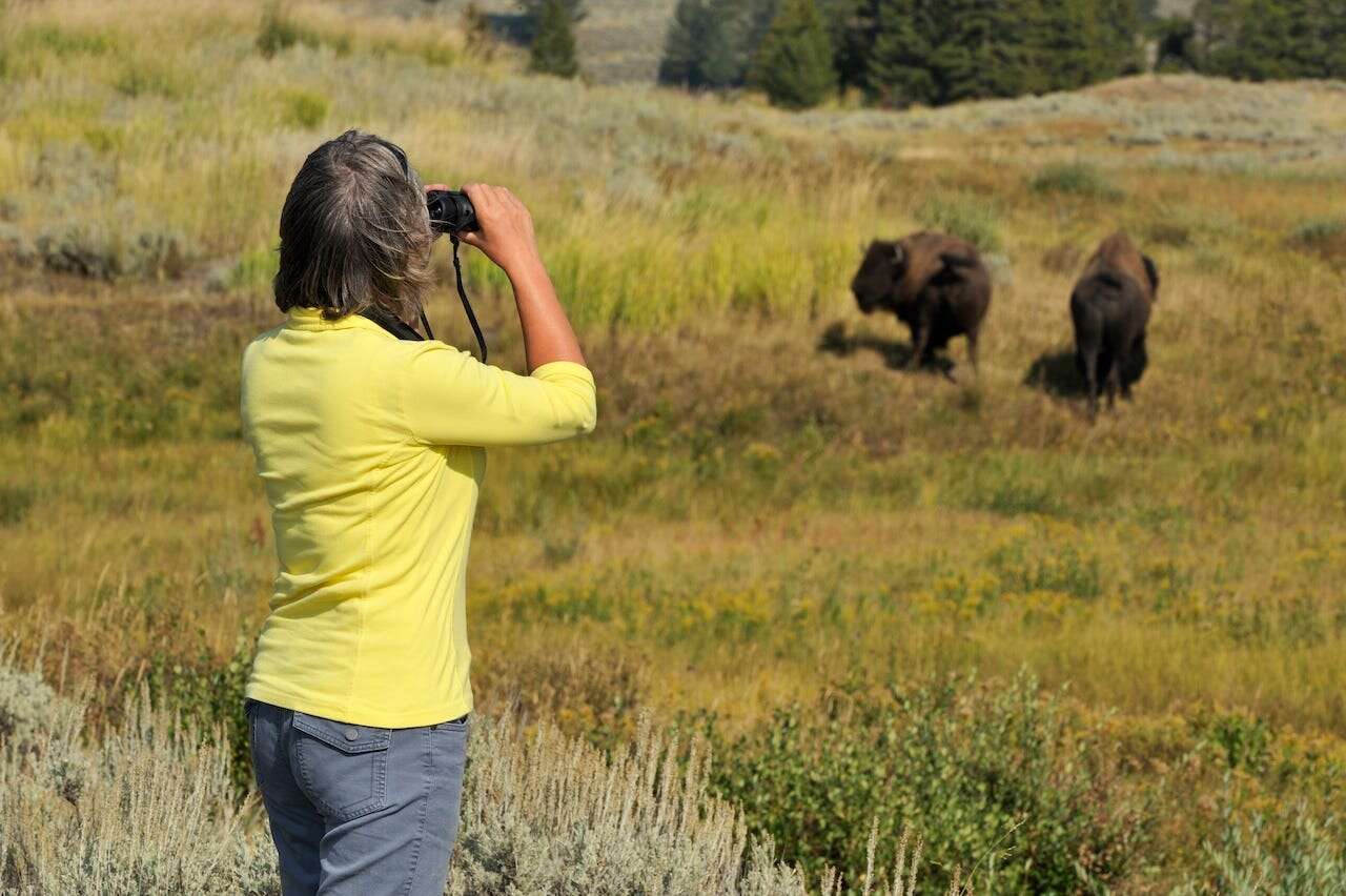 Every time tourists misbehaved in national parks this year — so far