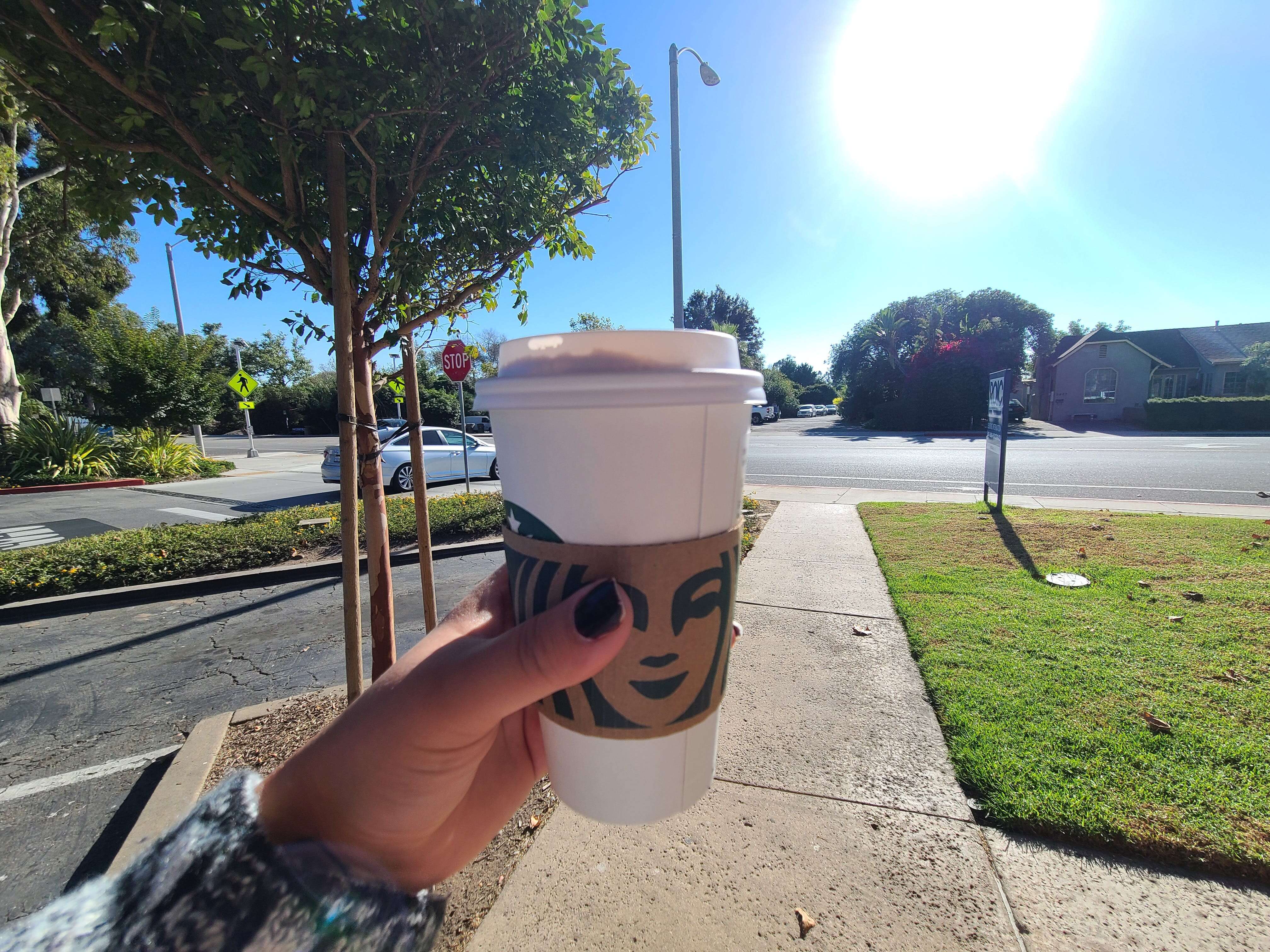 I taste-tested 5 coffee chains' hot chocolate, and the best was rich and creamy without being too sweet