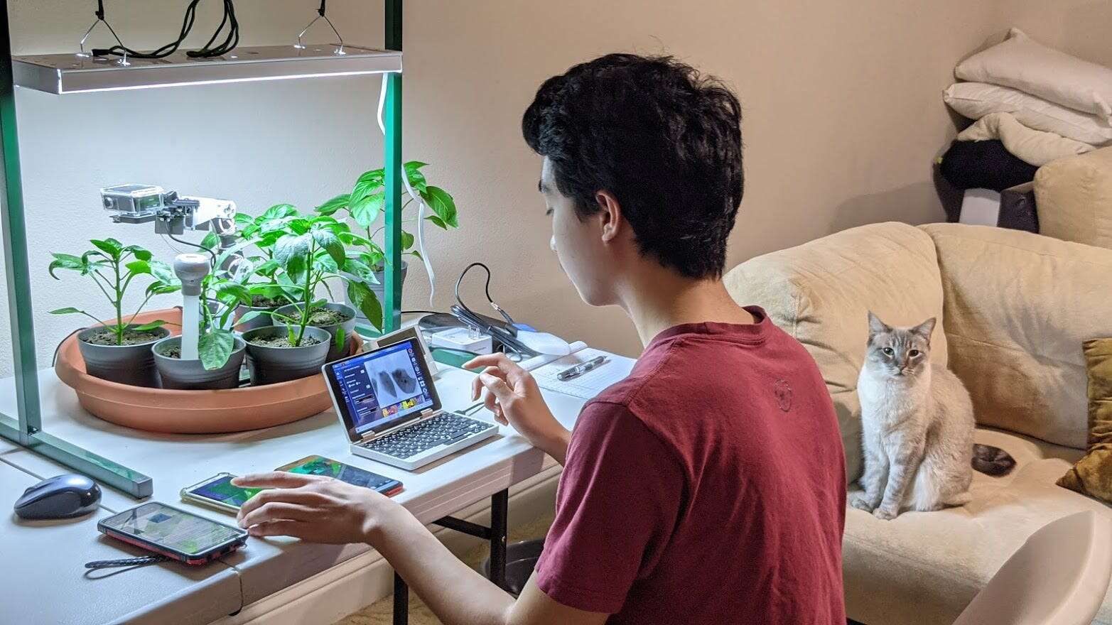 My son's video game habit worried me but it fueled his interest in coding, robots, and AI. At age 16, he won $55,000 at a science fair.