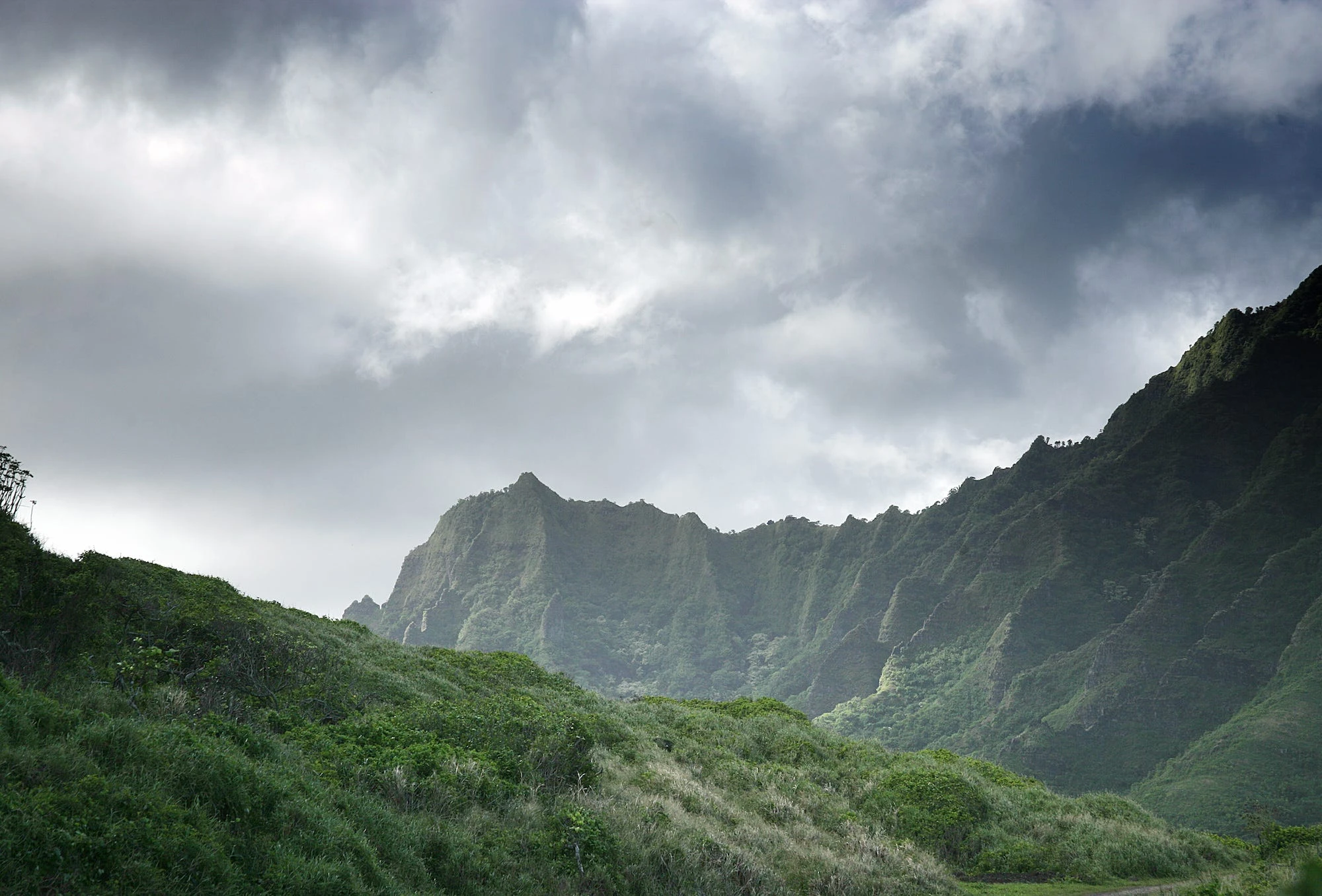 A barking dog alerted passersby to a missing hiker who fell over 150 feet down the slope of a Hawaii mountain 
