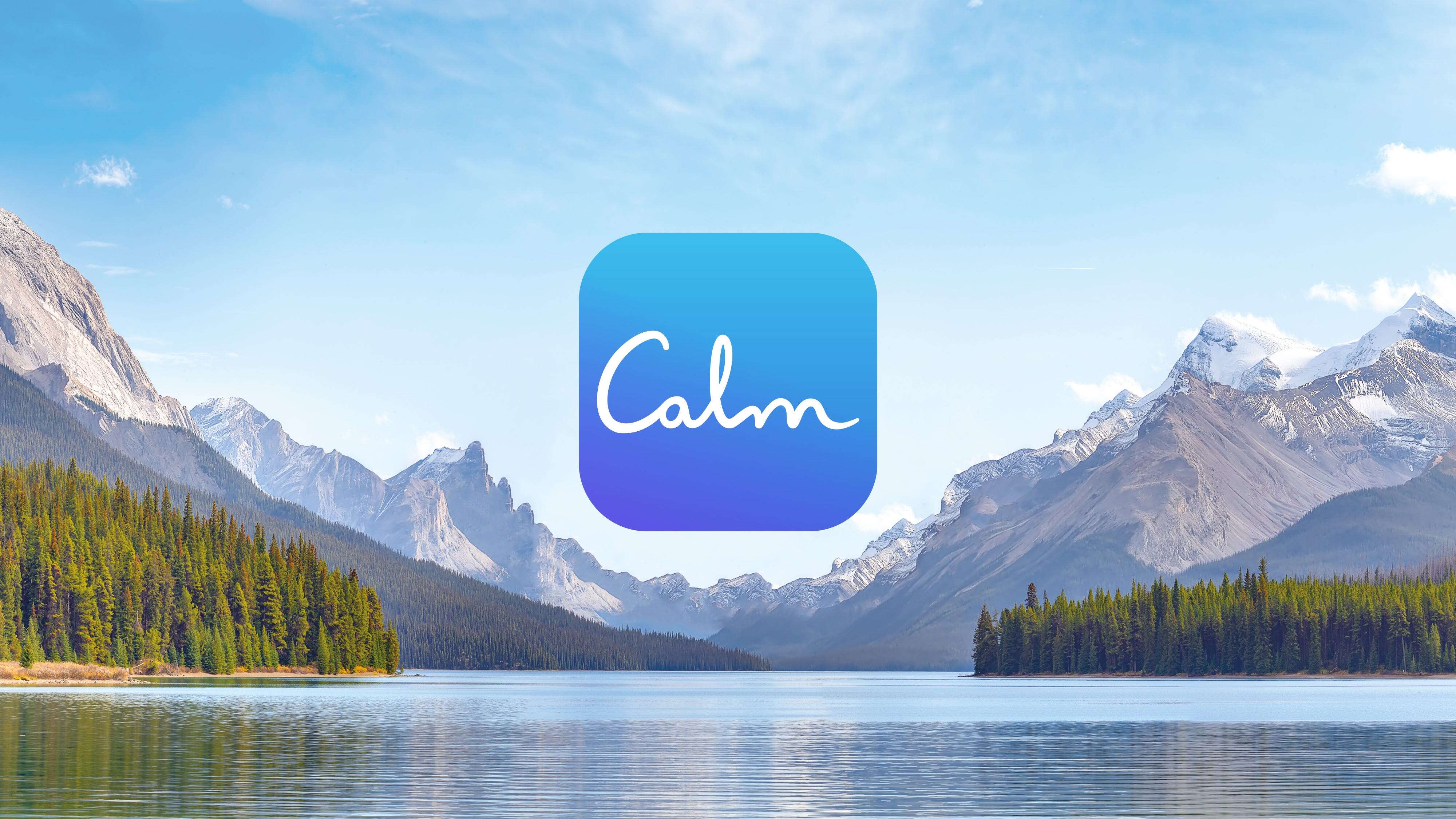 The Calm app bought ad blocks on CNN and ABC on election night to give viewers '30 seconds of silence'