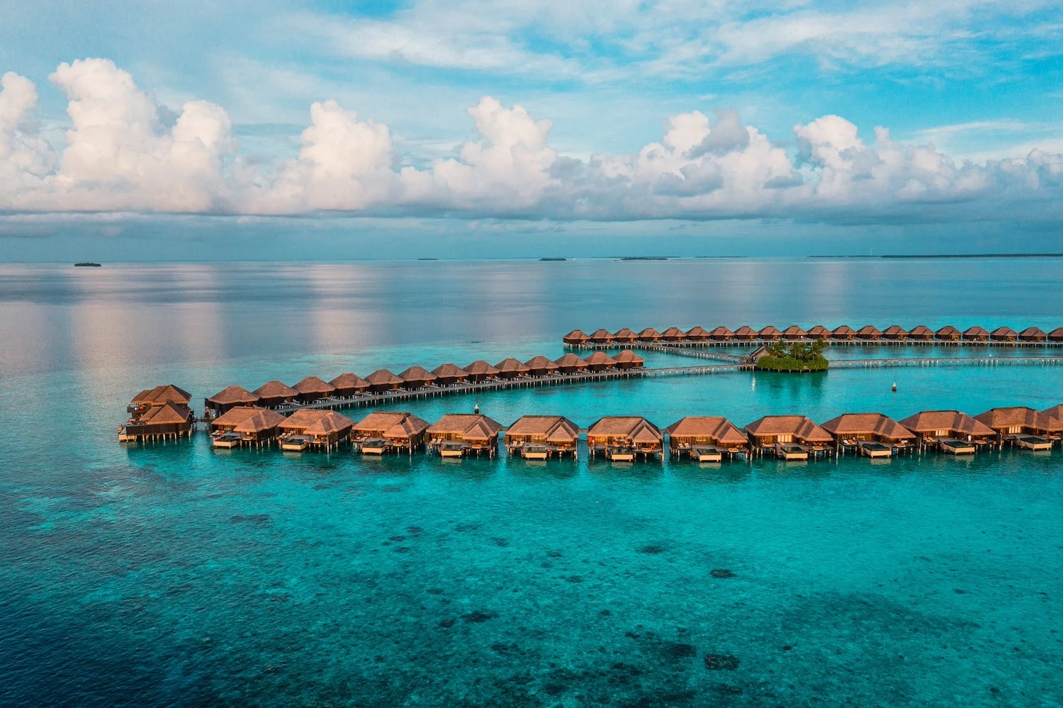 The luxury market is poised for a big slowdown, but there are some areas where people are still willing to splurge