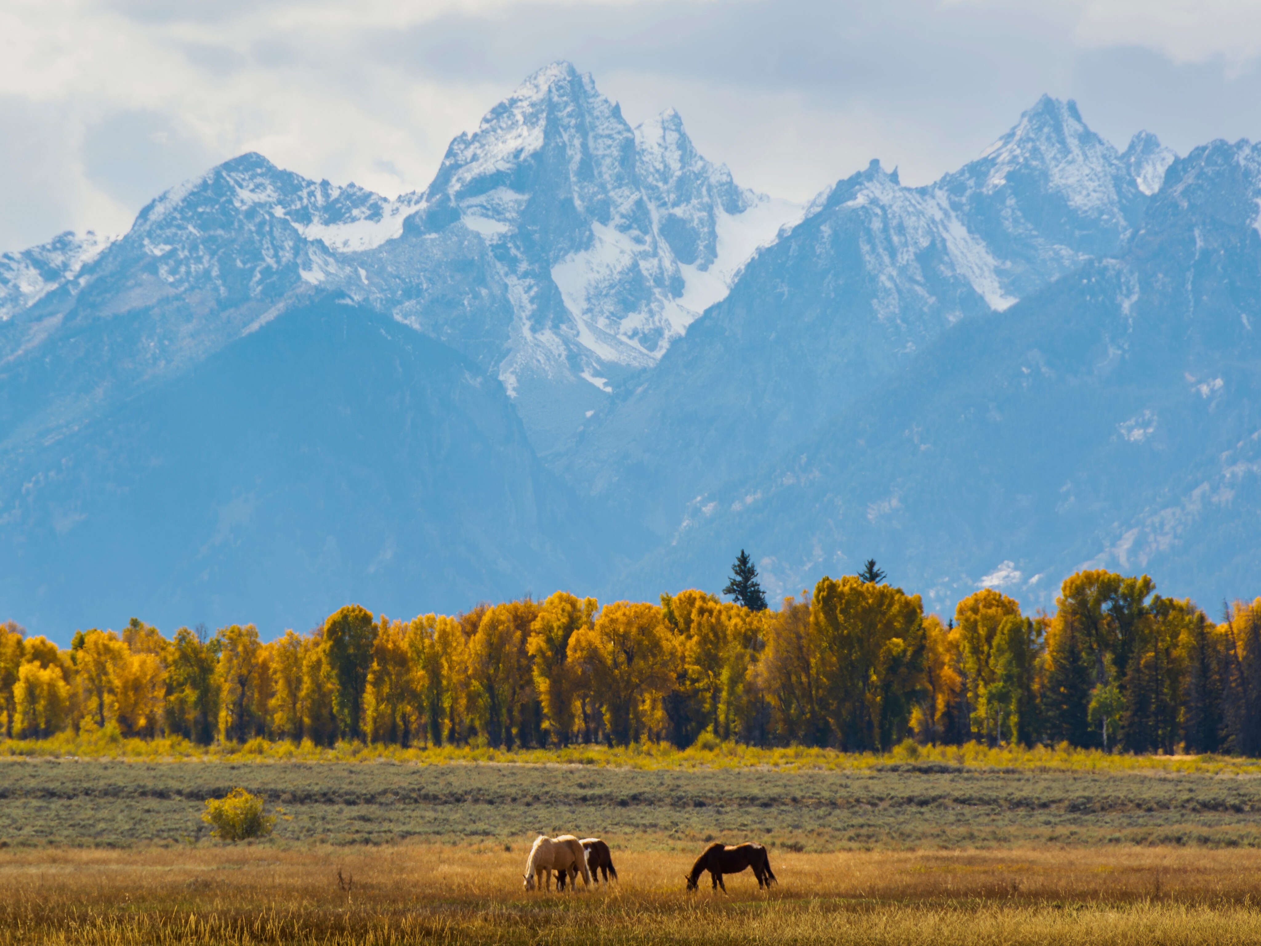 I've been to all 63 major US national parks. Here are the 3 I love going back to and the 3 I'm glad I saw once.