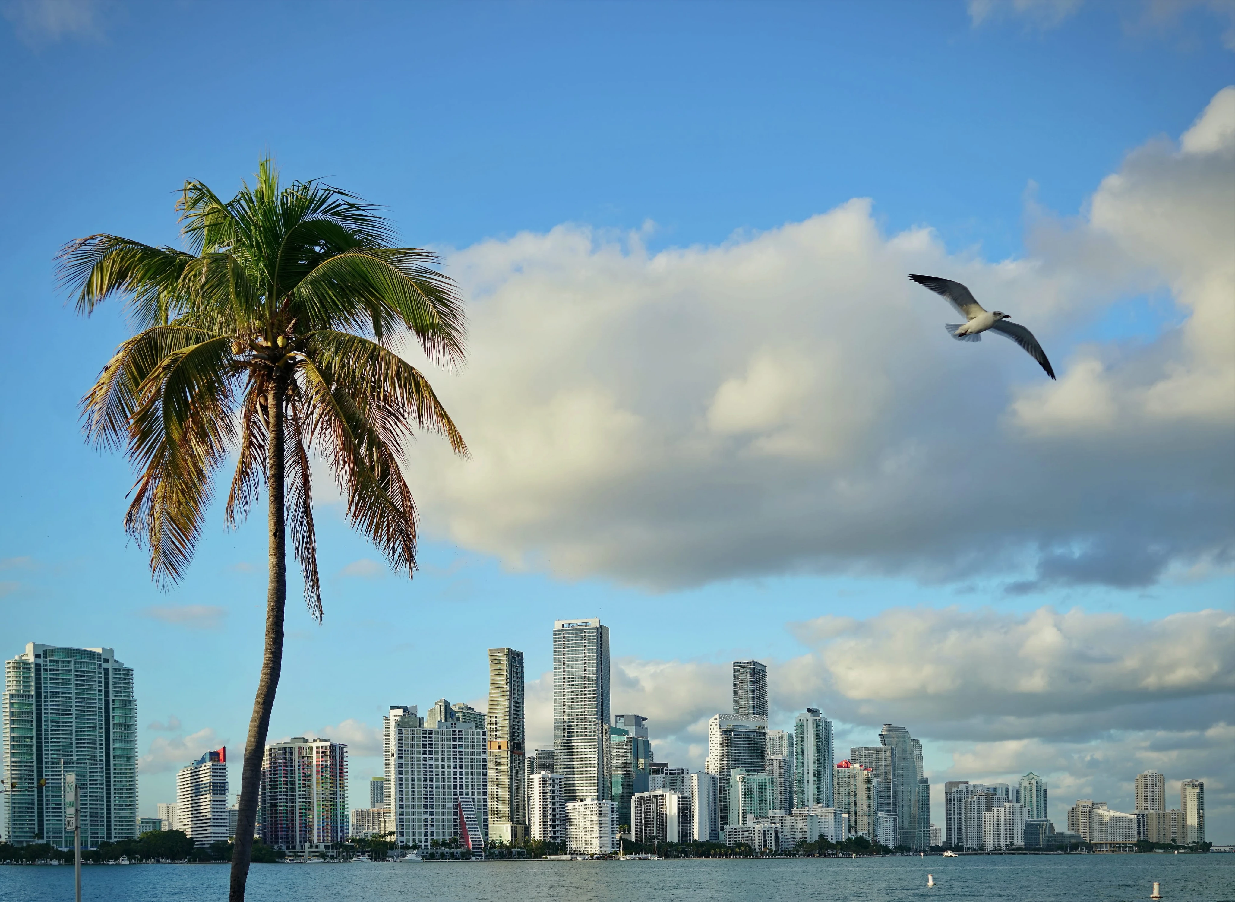 Where have all the Miami portfolio managers gone?