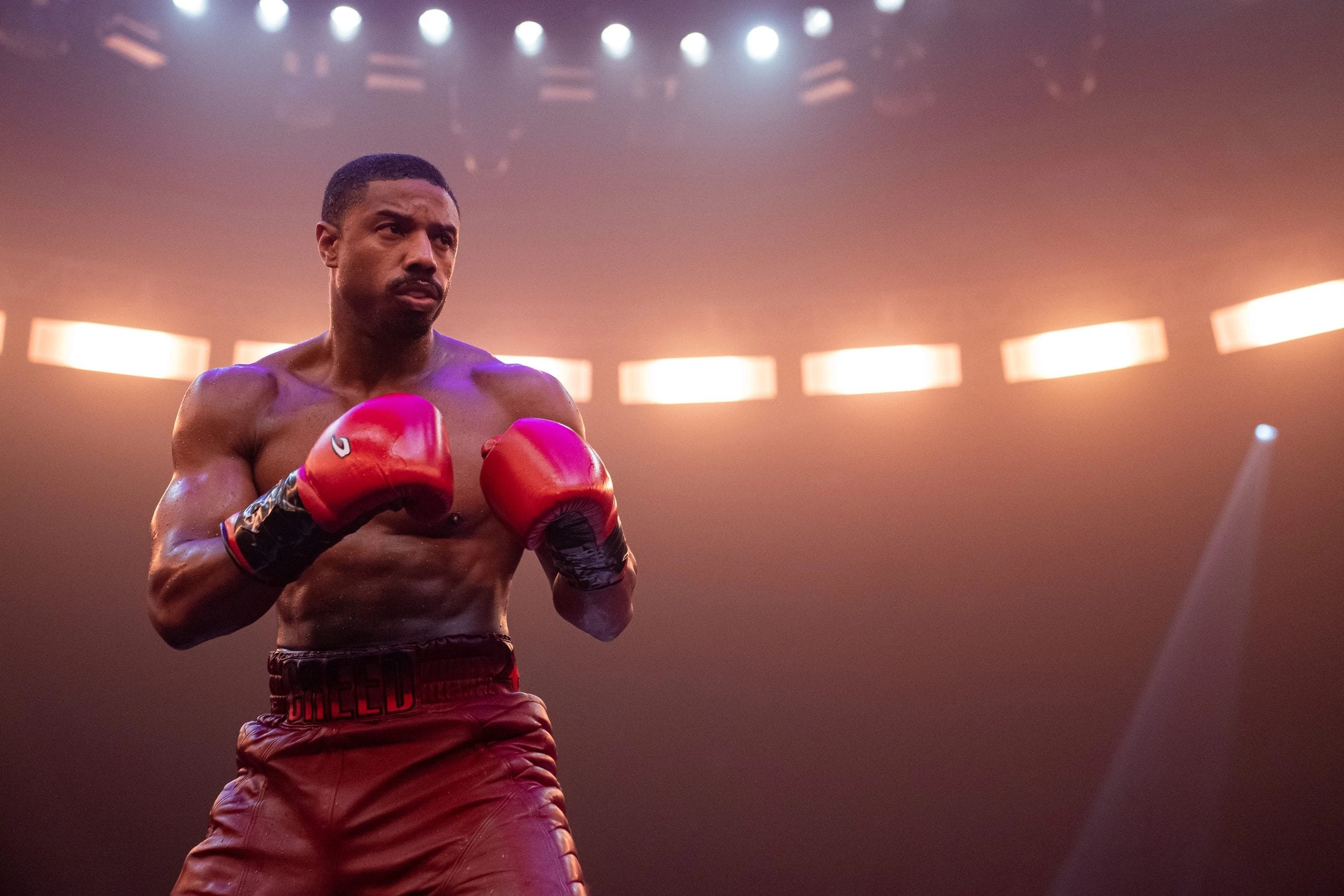 Celebrities and actors Amy Poehler and Michael B. Jordan share career advice for Gen Zers 