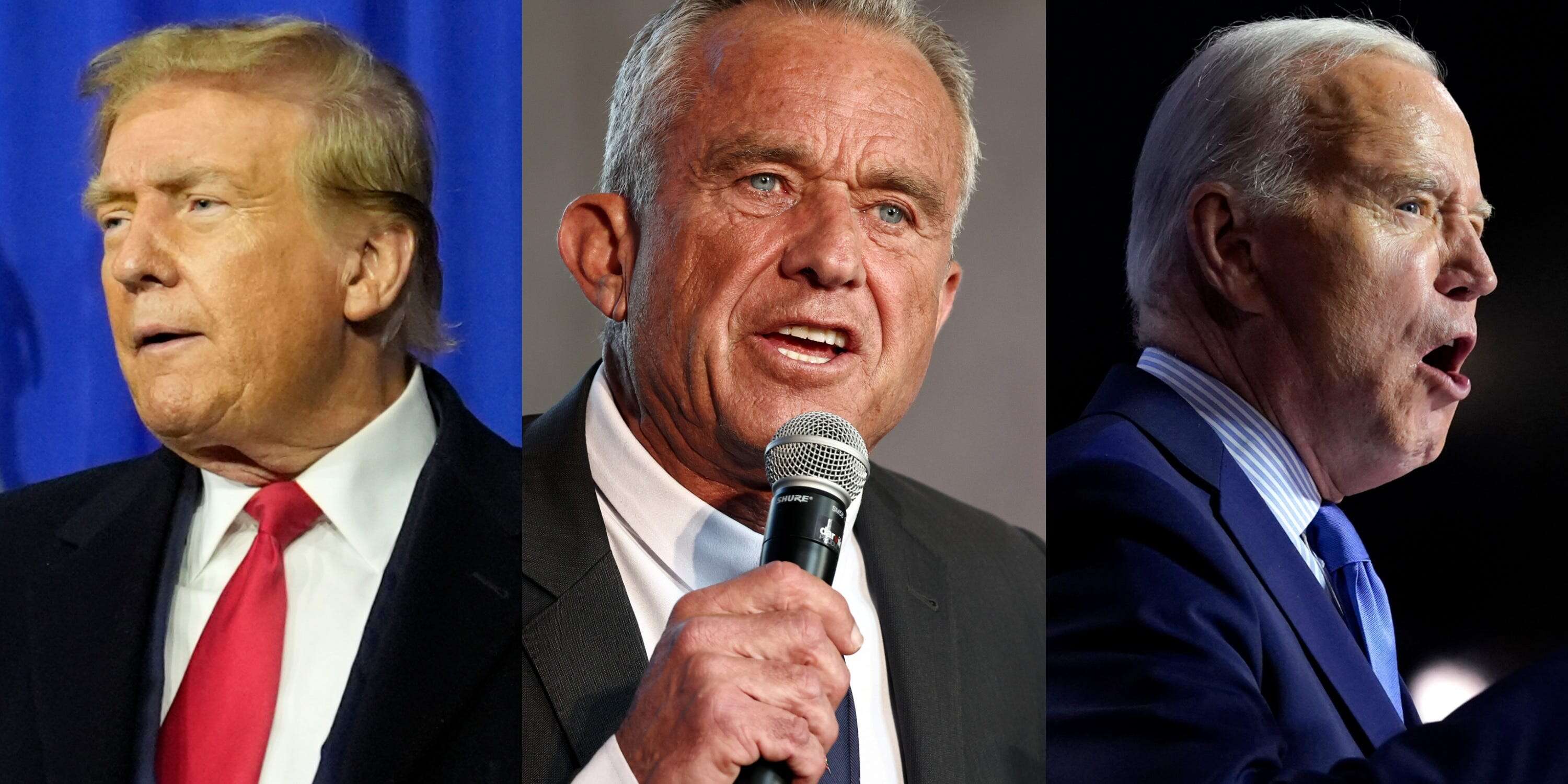 James Carville says RFK Jr. will harm Trump more than Biden, but he 'worries' about Cornel West and Jill Stein