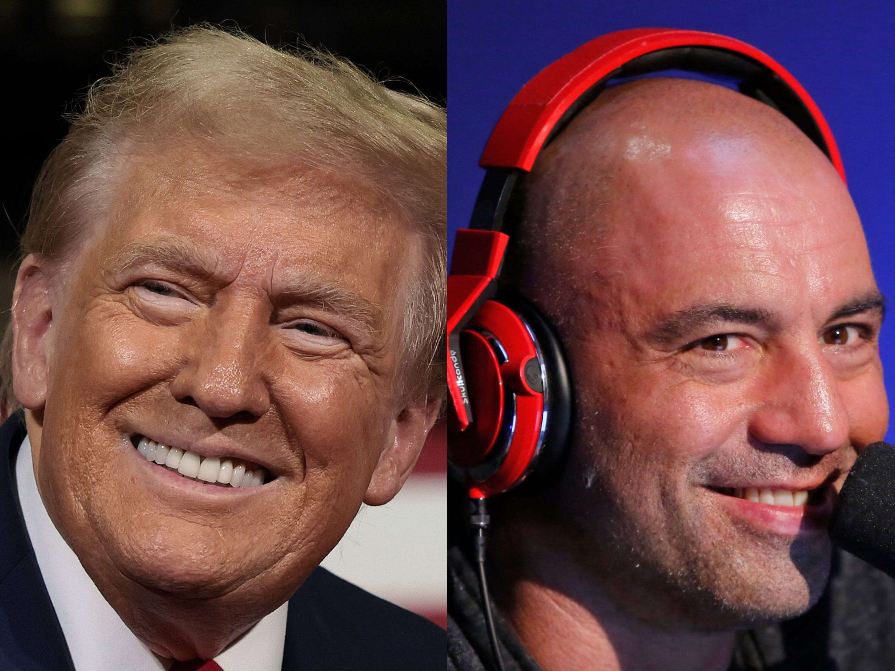 Joe Rogan endorsed Donald Trump, saying Elon Musk made a 'compelling case' for the former president