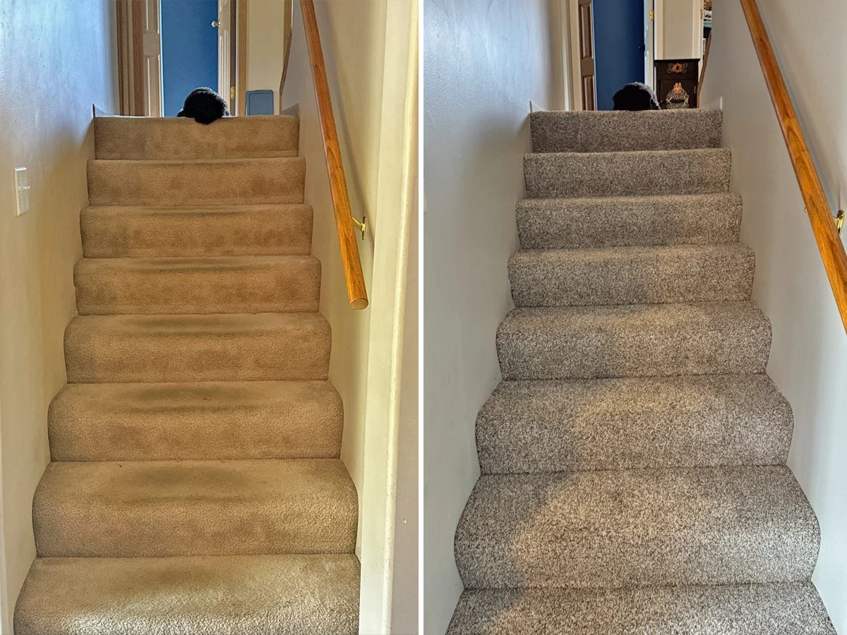 We got new carpet in over 50% of our house. Here are 8 things I wish I'd known before we started.