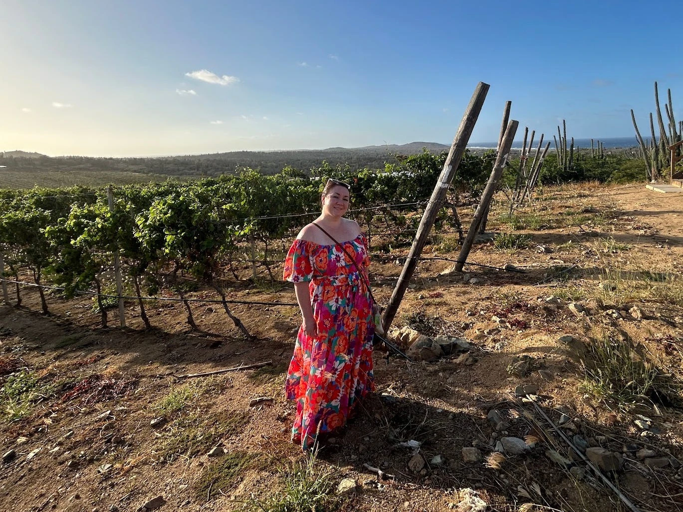 I had no idea how brutal traveling during the first trimester of pregnancy would be. Here's how I got through nausea, fatigue, and more.