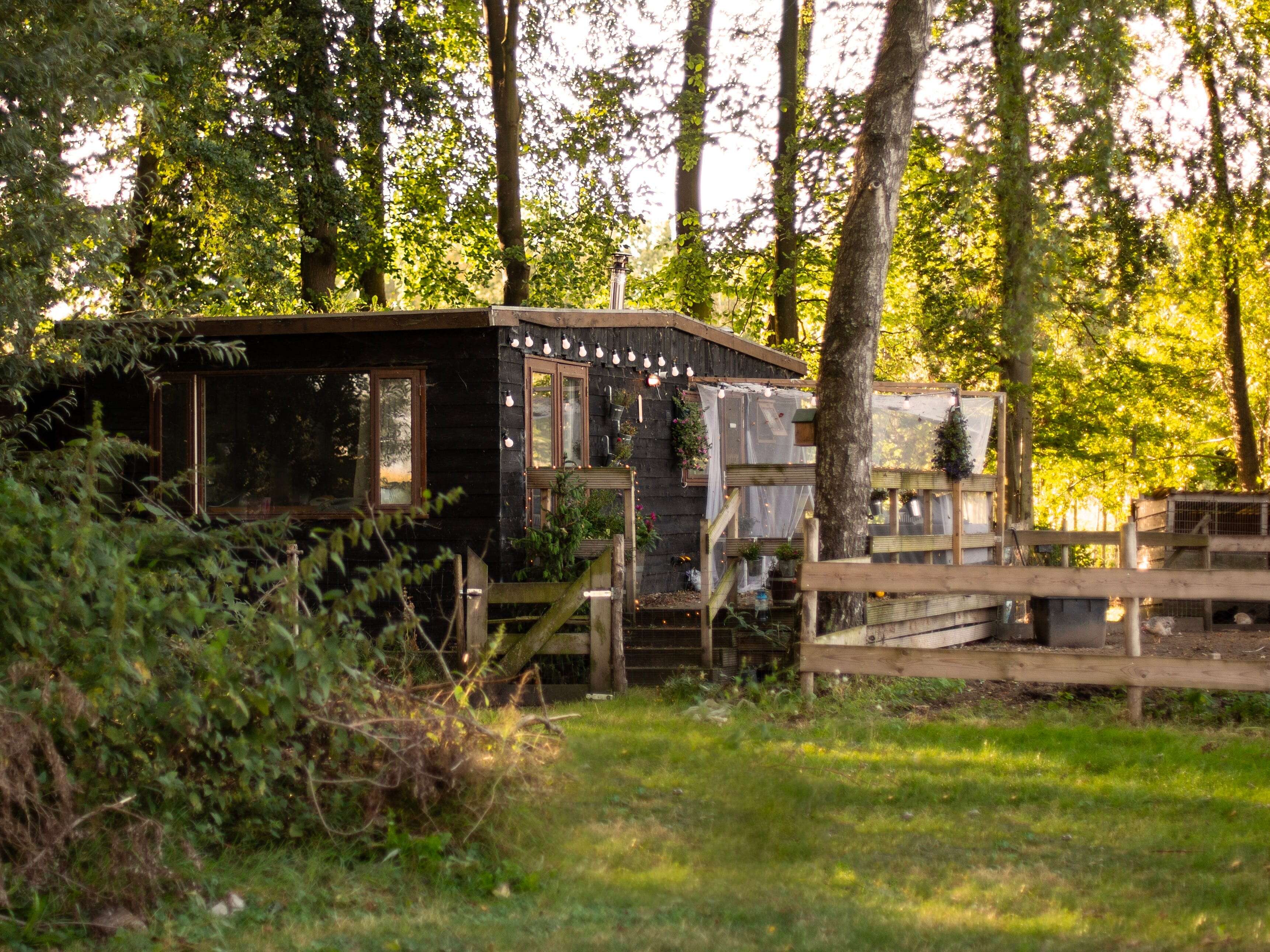 I'm a millennial who lives alone in a tiny house in the countryside. I don't feel like I'm missing out on city life.