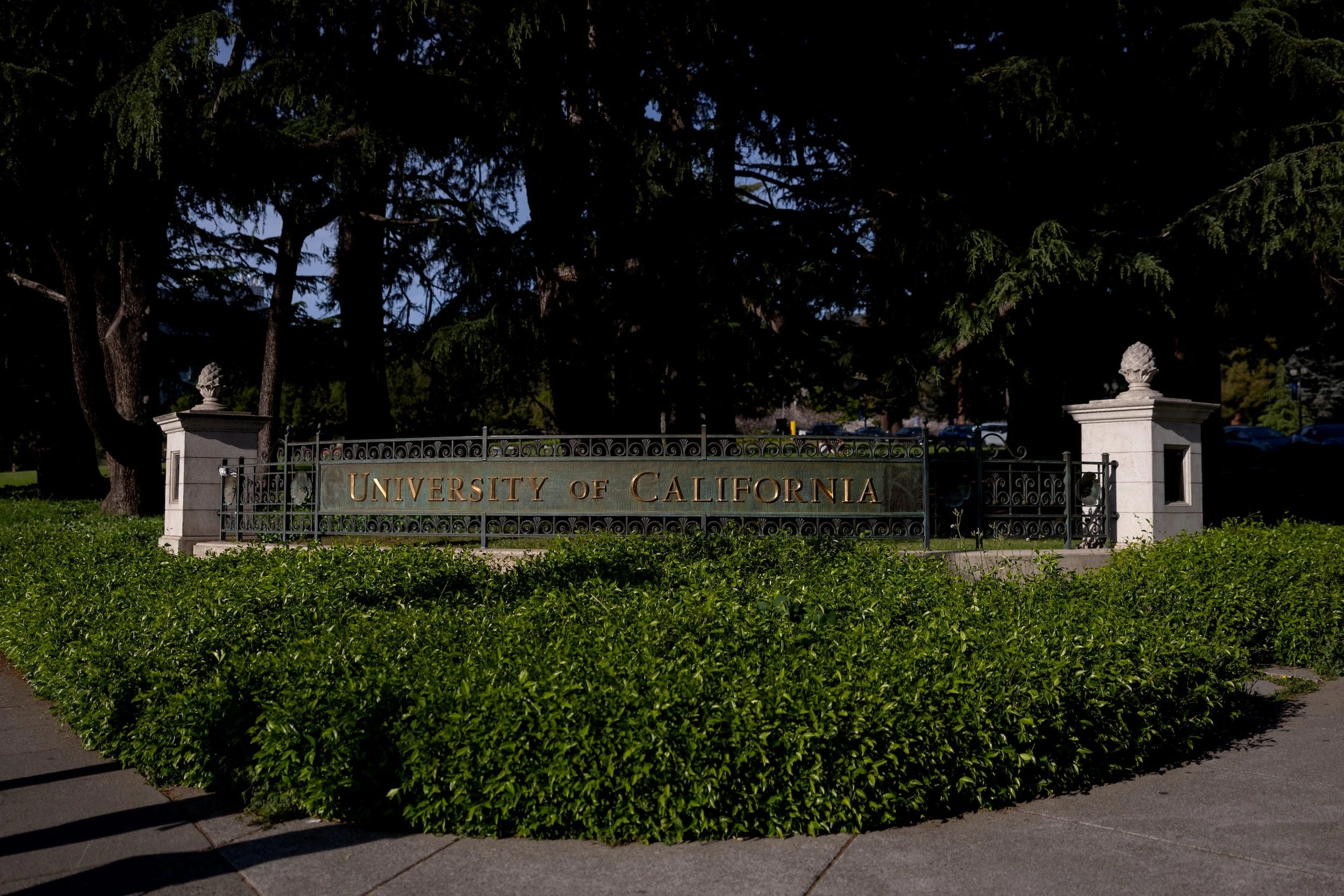 A professor who helped write UC Berkeley's strict new AI policy says it's about preserving 'the value add of a lawyer'