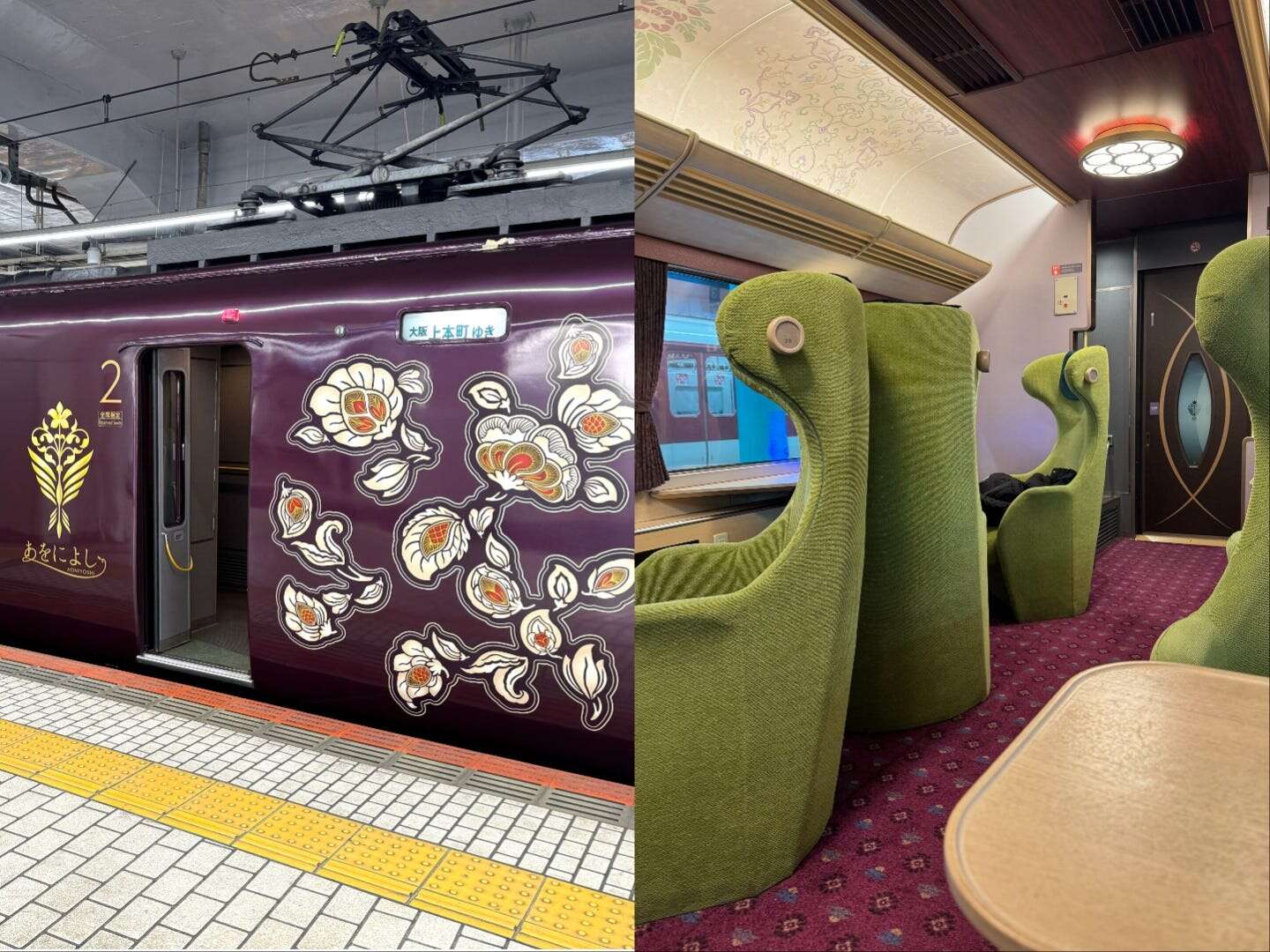 I took a luxurious sightseeing train in Japan for just $12. The stunning views weren't even the best part.