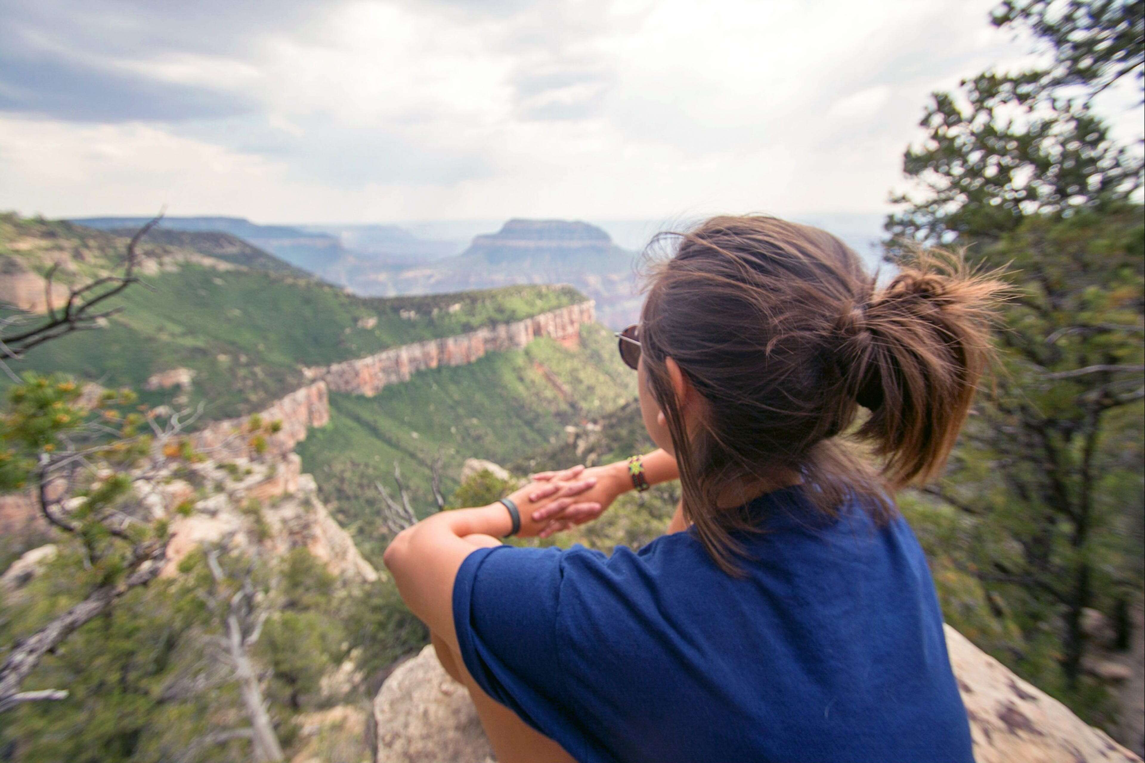 I've been to 20 national parks and forests around the US. The North Rim of the Grand Canyon is the most underrated.