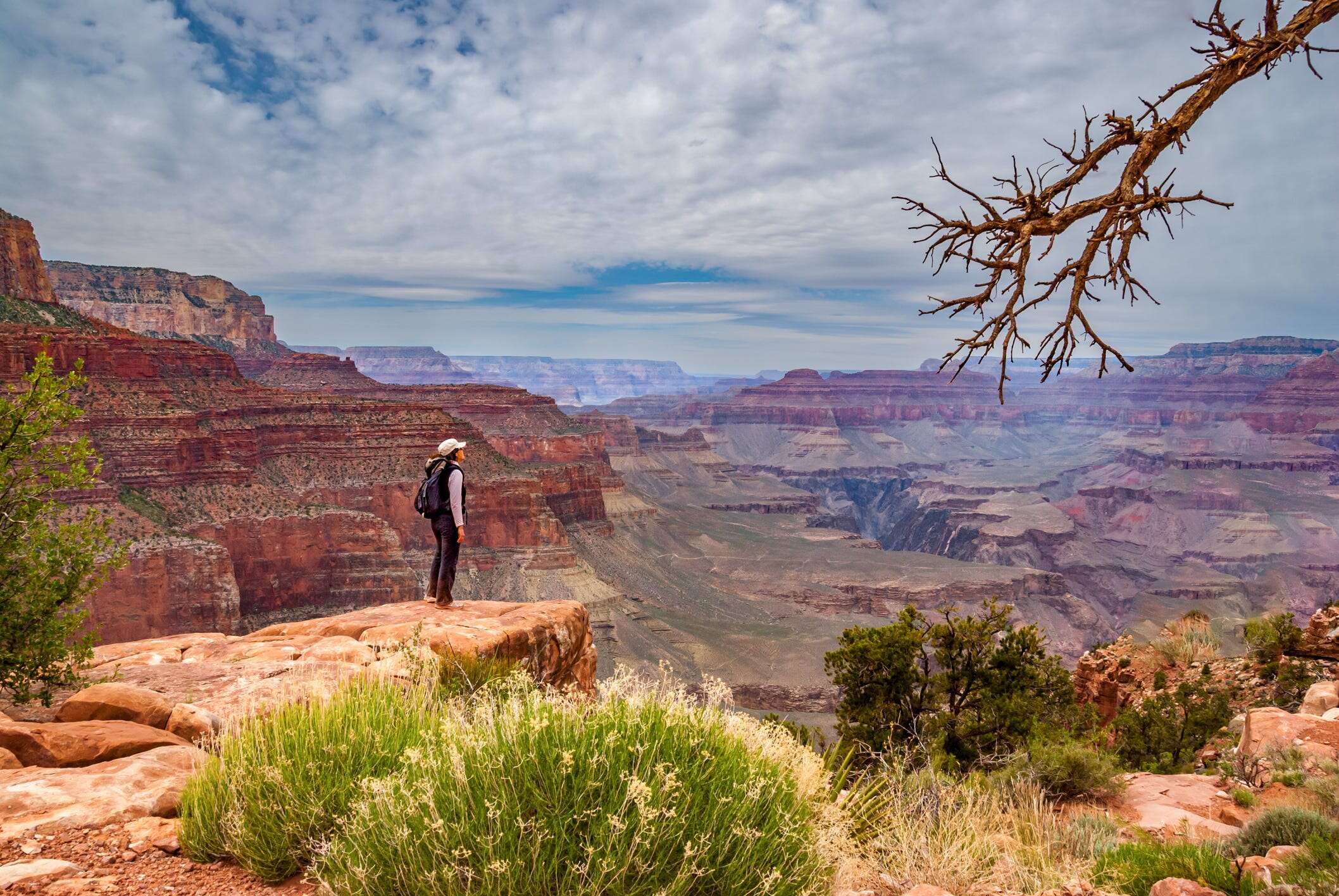 I'm an Arizona native. I always see first-timers make these 8 mistakes at the Grand Canyon.