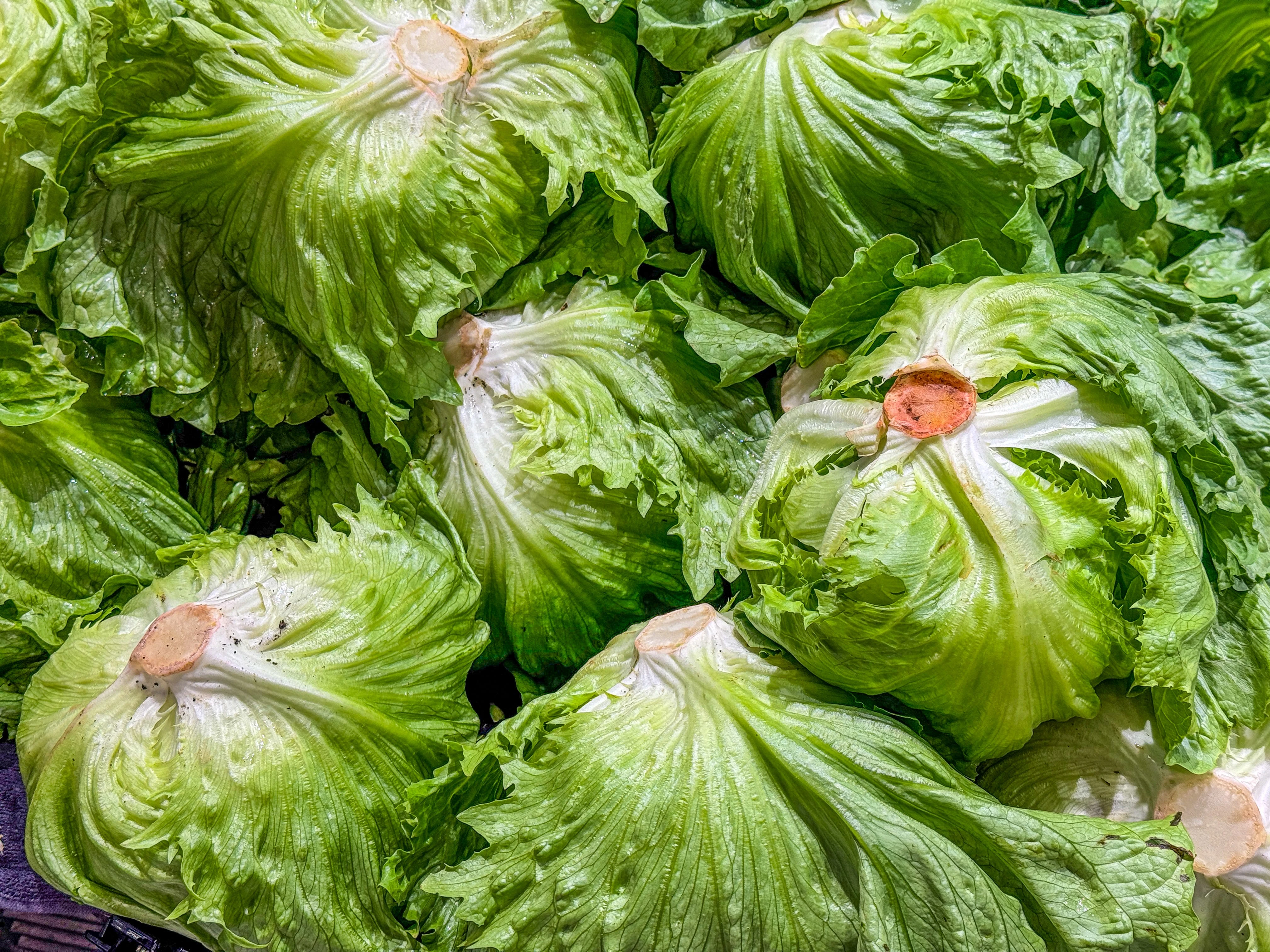 The cyclospora outbreak lawsuits have begun