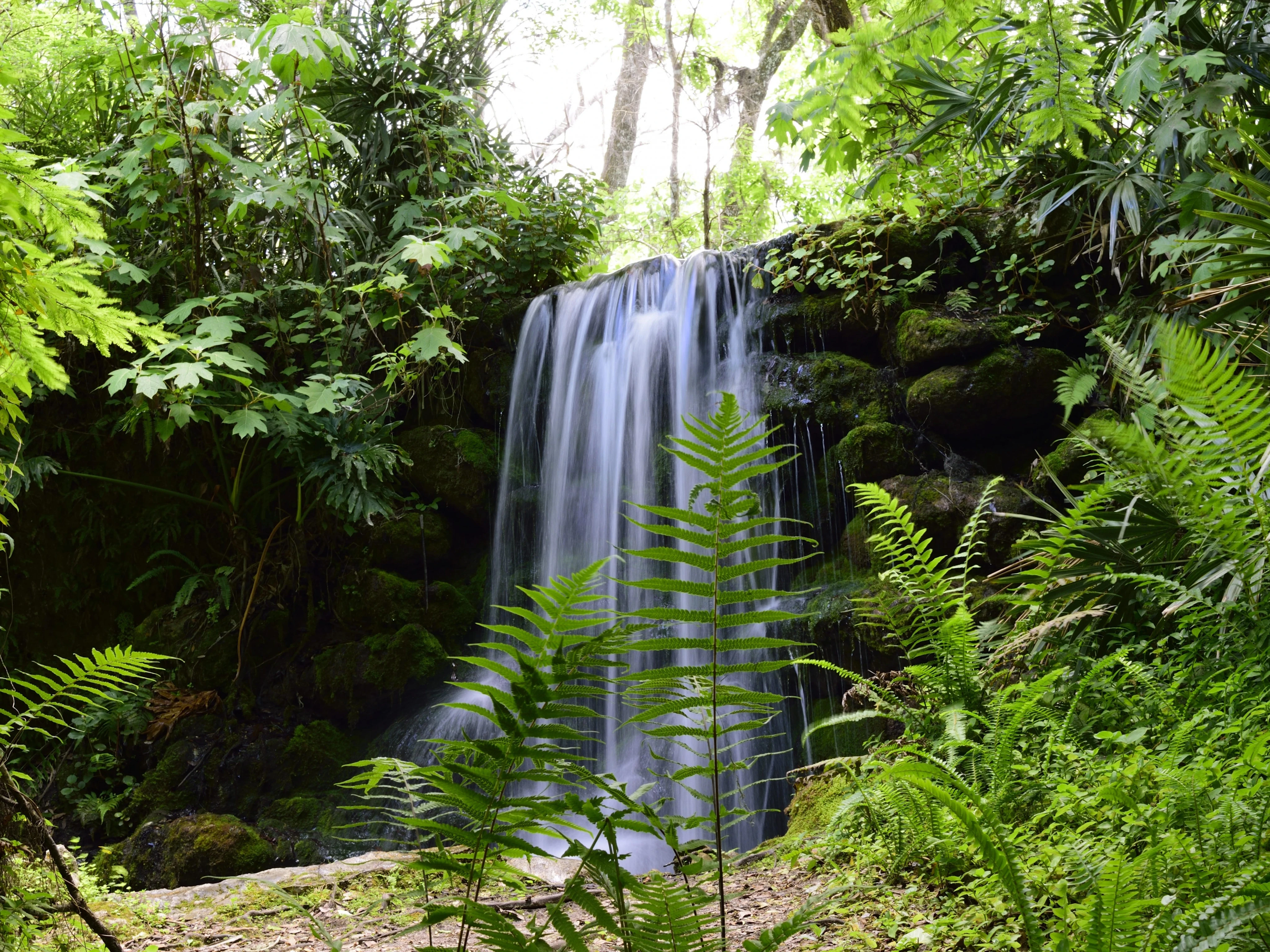 I've lived in Florida for over 25 years. Skip the major cities and spend time in these 5 gorgeous state parks instead.