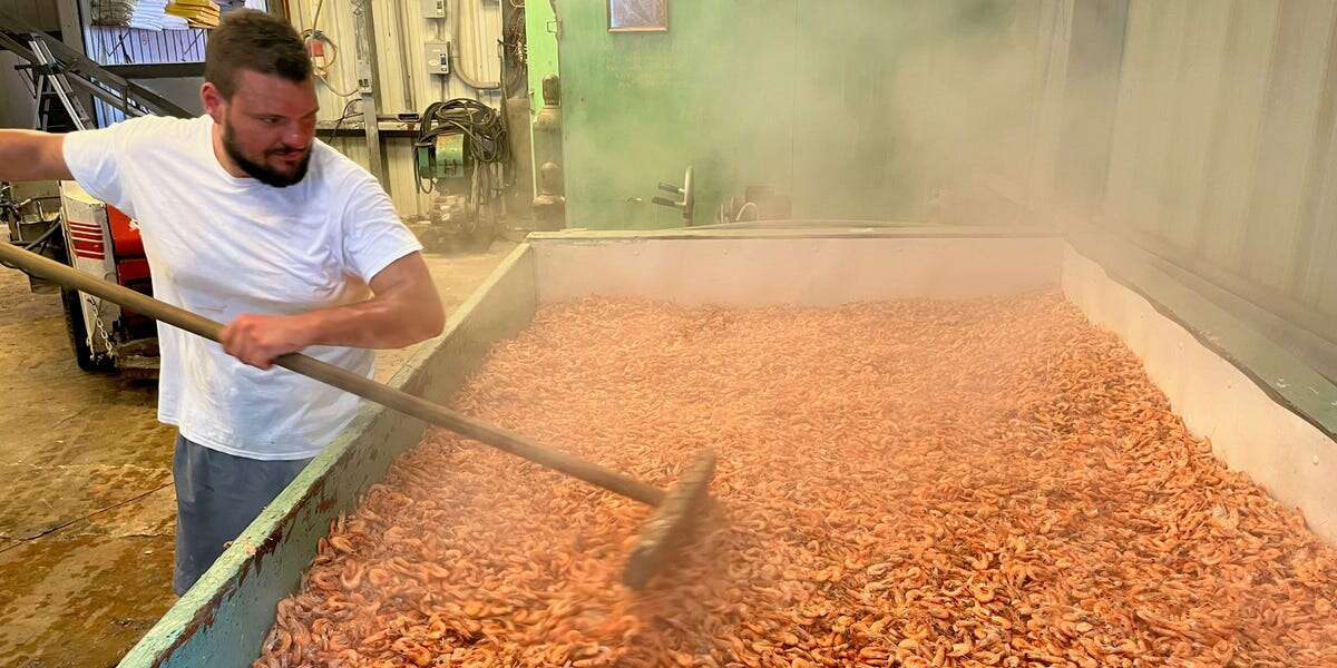 Why Louisiana's $1.3 billion shrimp industry could go extinct 