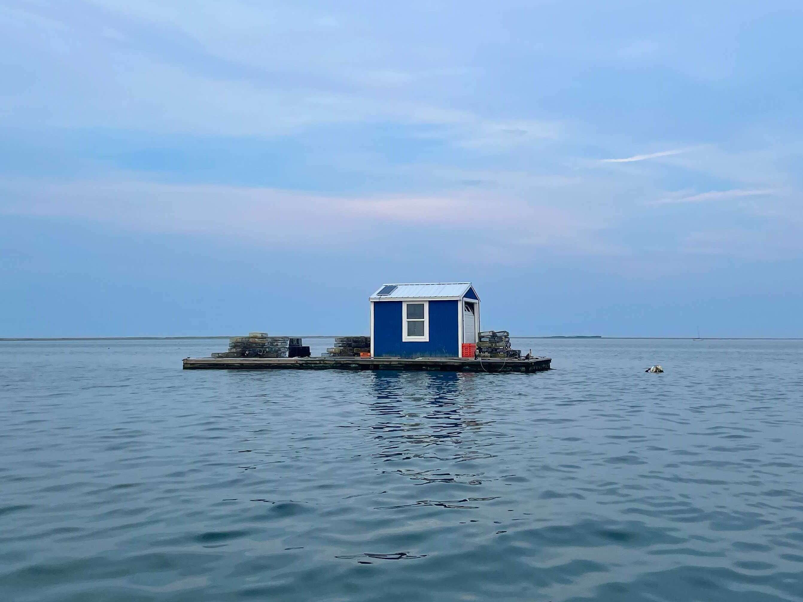 We spent $320 on a boat tour at an oyster farm. The fresh seafood and bay views were incredible.