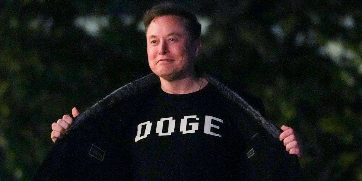 Tesla shareholders fear Elon Musk's focus on DOGE is tanking stock prices