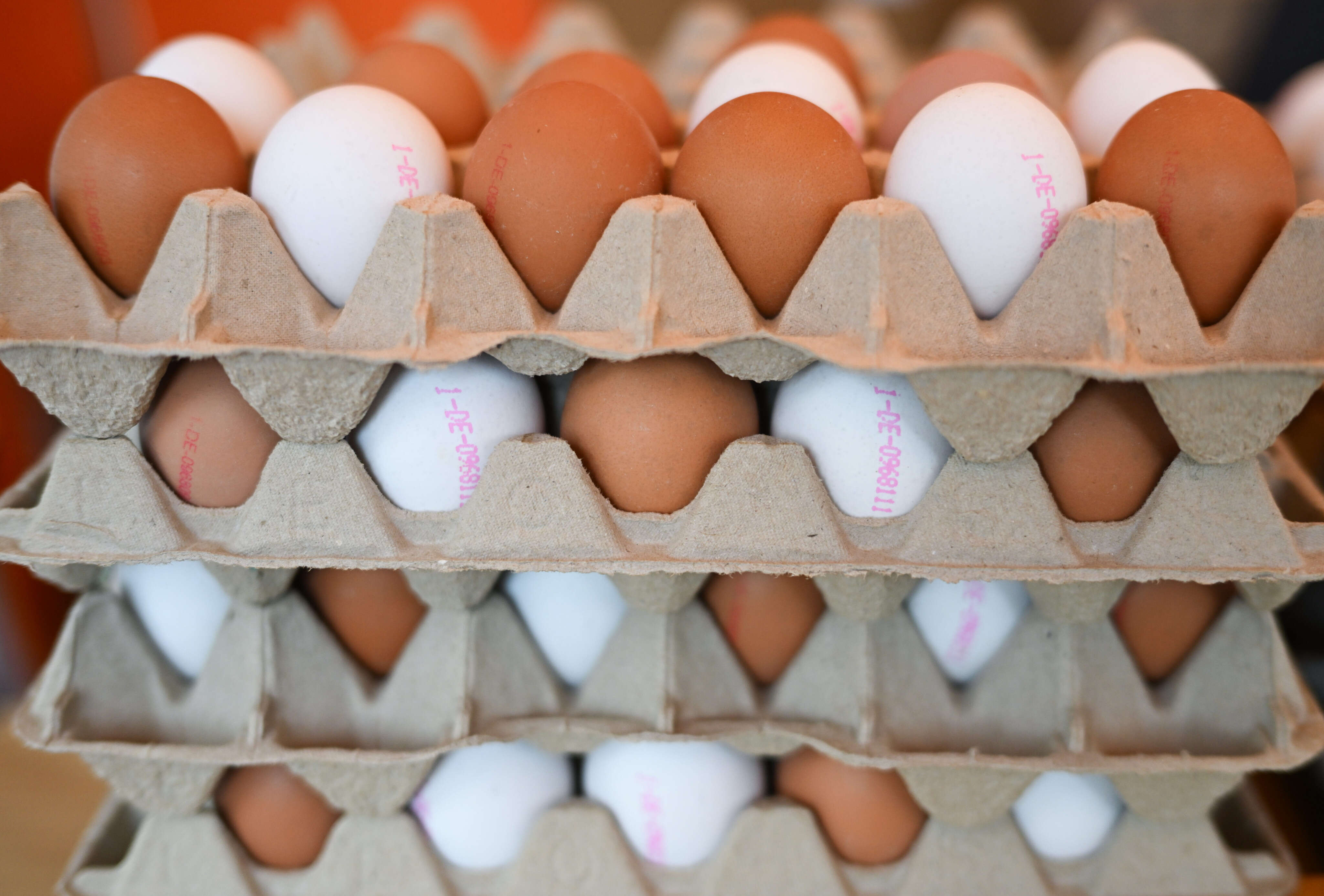 Enough about Greenland. The US now wants Denmark's help with its egg shortage.