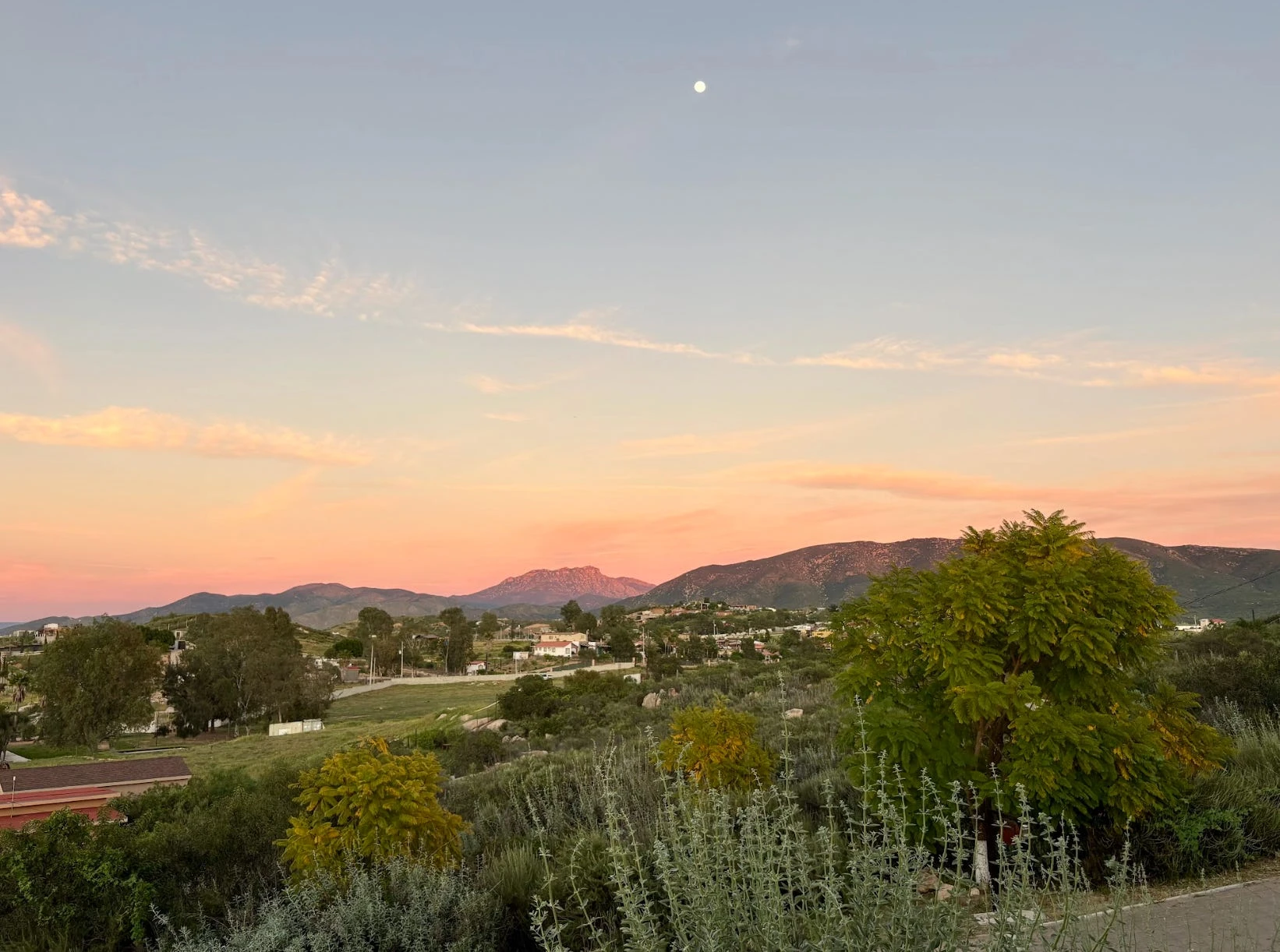 I'm a sommelier and travel advisor. There's just one wine region I'm telling everyone to visit this summer.