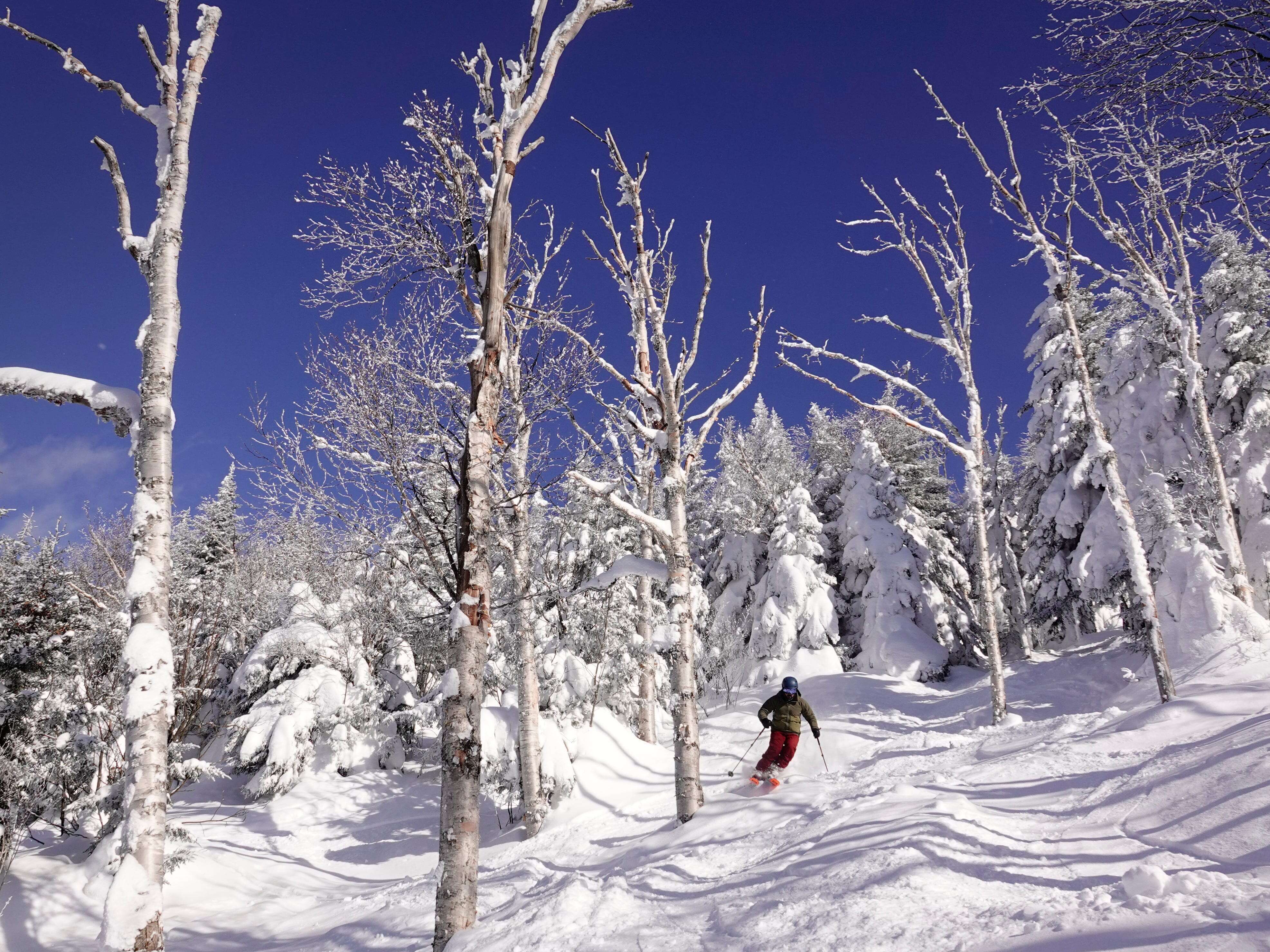 I've been skiing for decades, but my wife hates it. We have to get a little creative on our winter vacations.