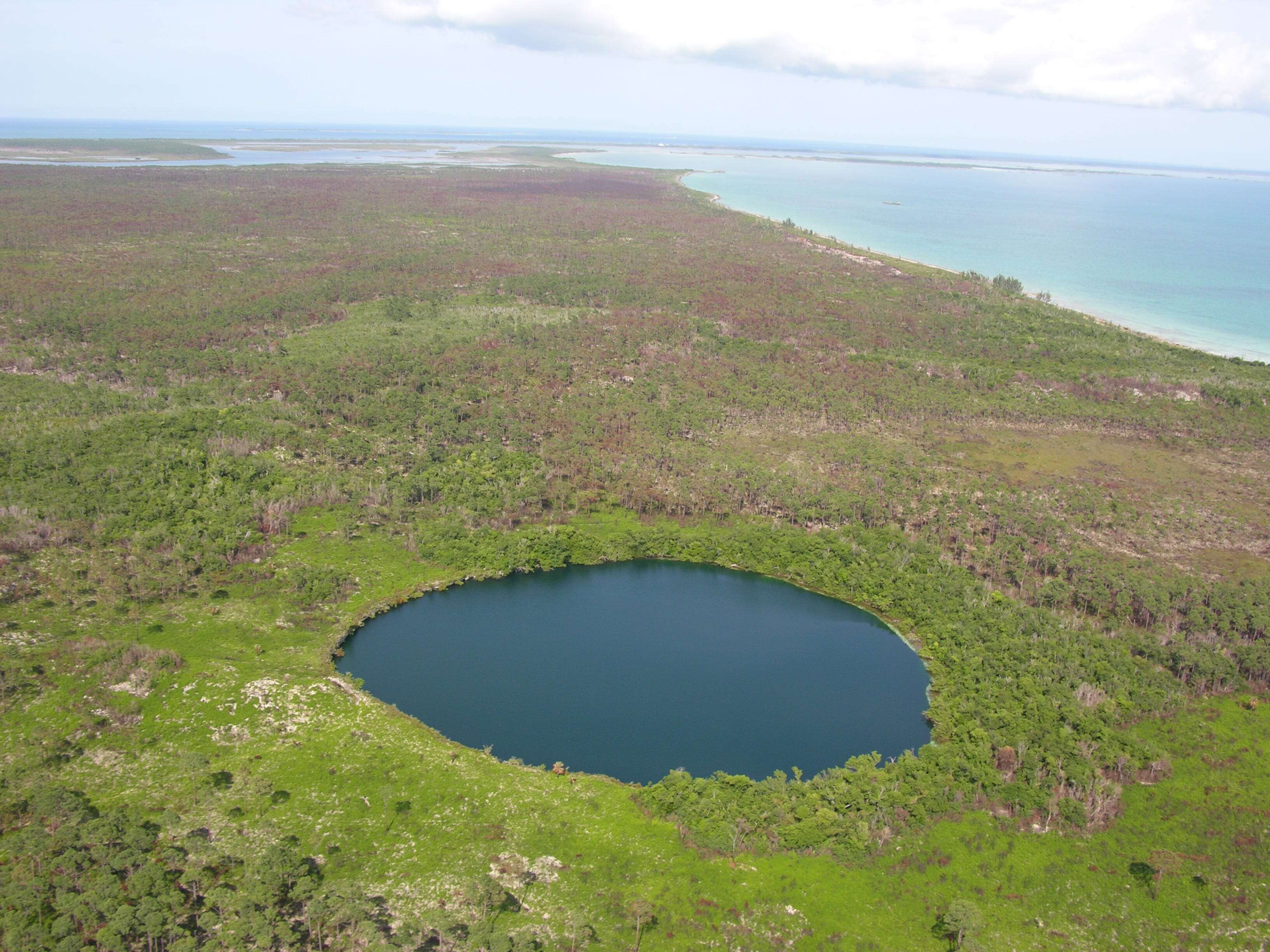 Researchers found a treasure trove of fossils in a Bahamian blue hole that could transform our understanding of the island