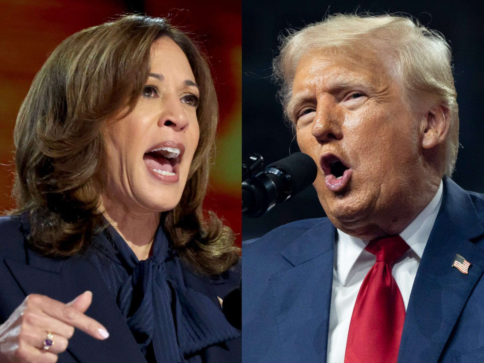 Kamala Harris says Trump 'disrespected sacred ground' just for a 'political stunt' at Arlington National Cemetery