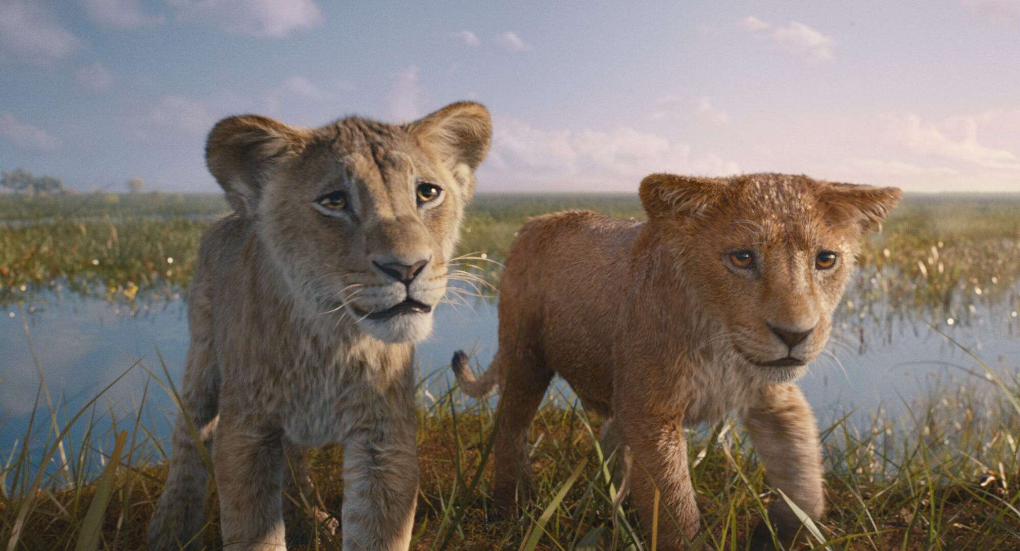 Critics are calling 'Mufasa: The Lion King' a 'contrived cash-in' that's 'blankly corporate,' but it's still better than 2019's 'The Lion King' remake