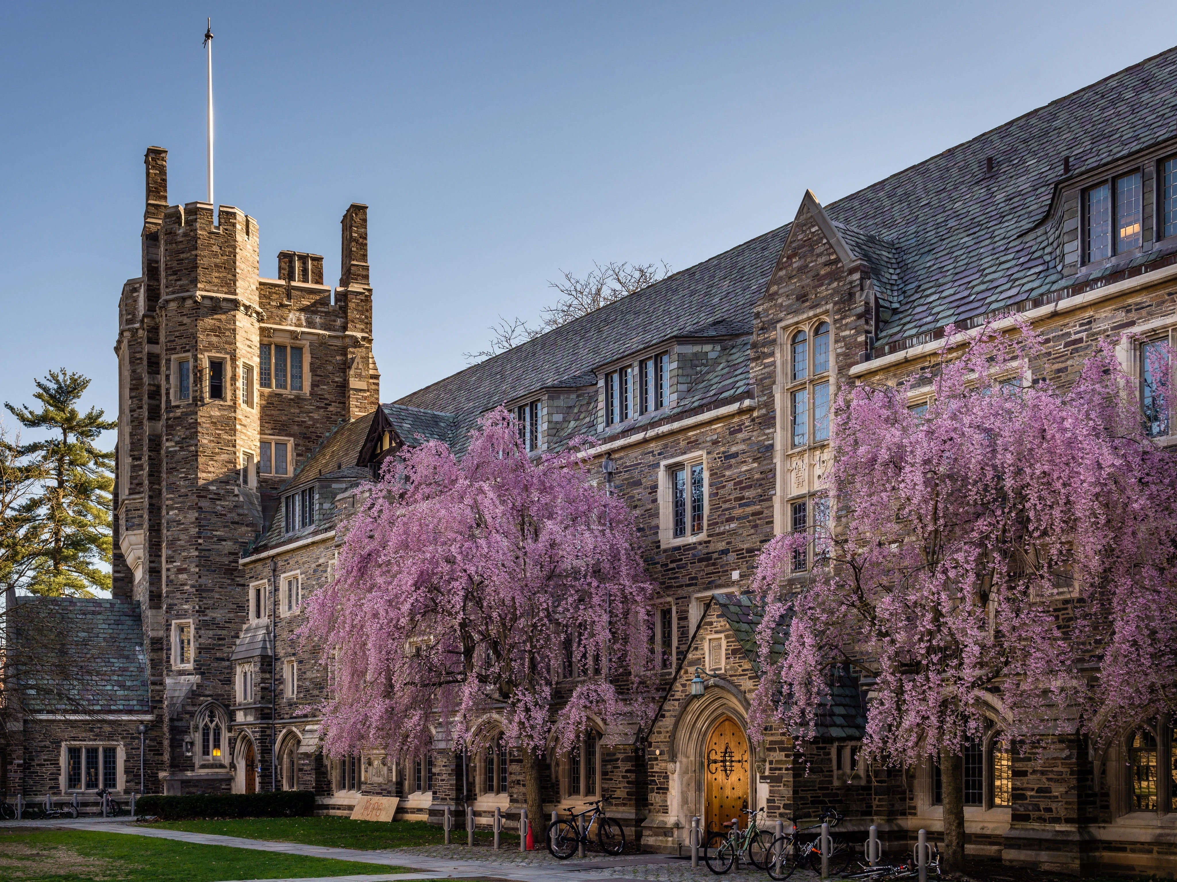 The best college in every US state