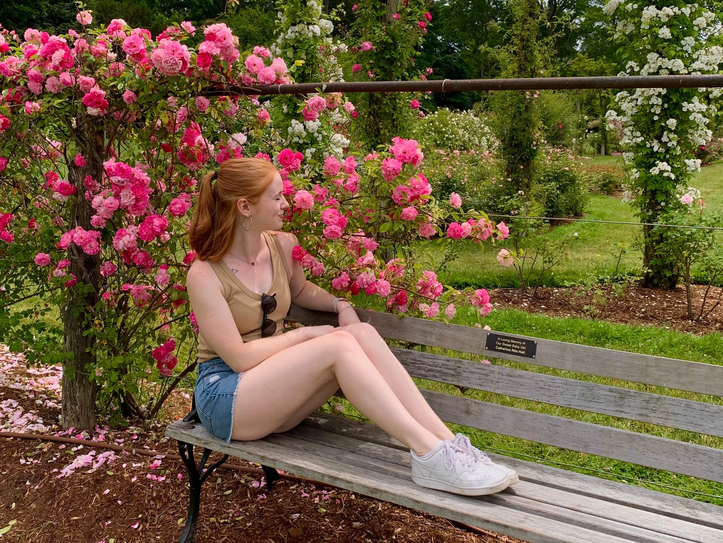 I had to move to Connecticut for my job 3 years ago. I didn't want to live in New England — now I never want to leave.