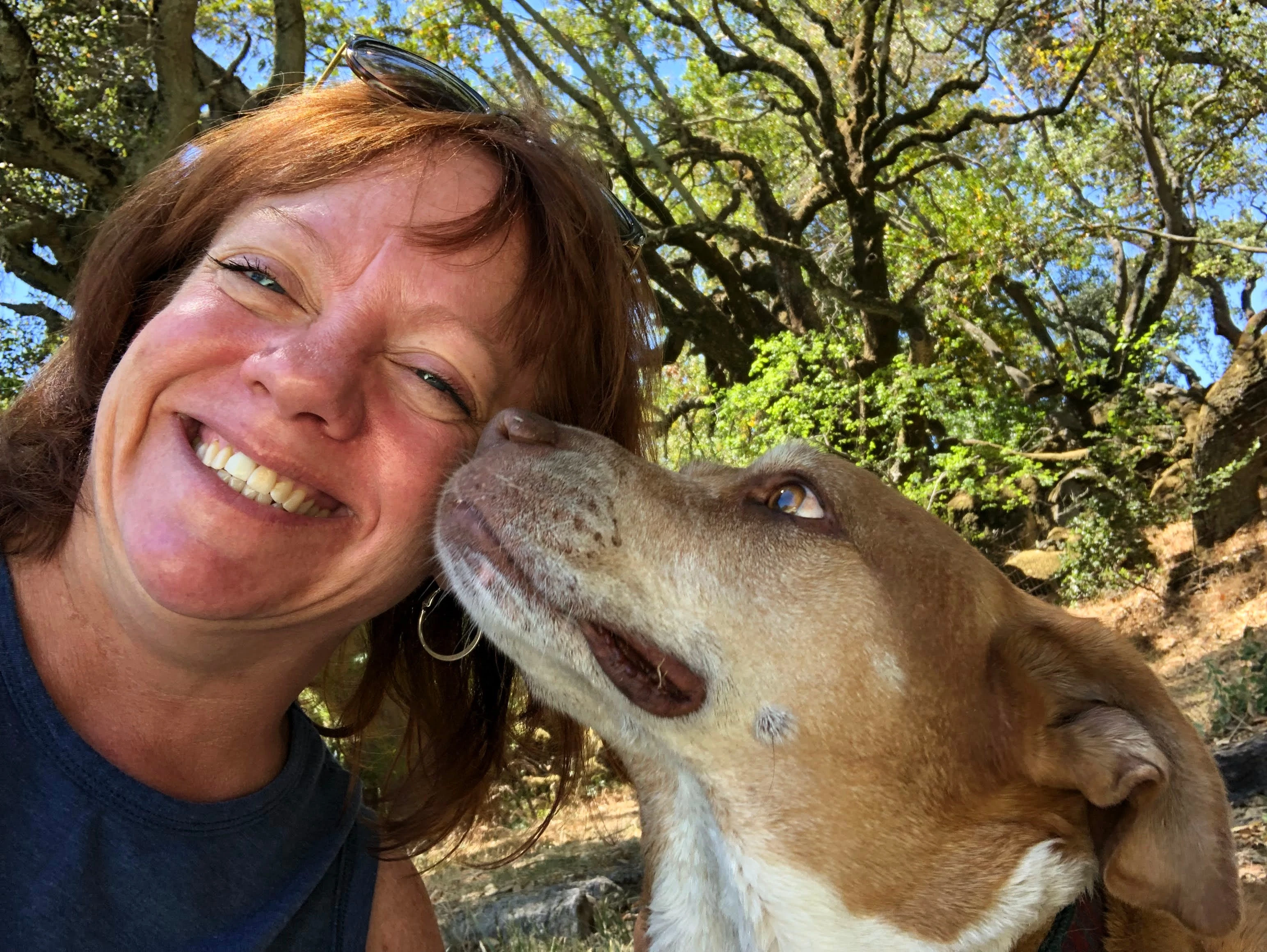 I was paying $3,000 to live in a cramped Seattle apartment. When I got laid off, I moved out and now live in other people's homes for free as a traveling pet sitter. 