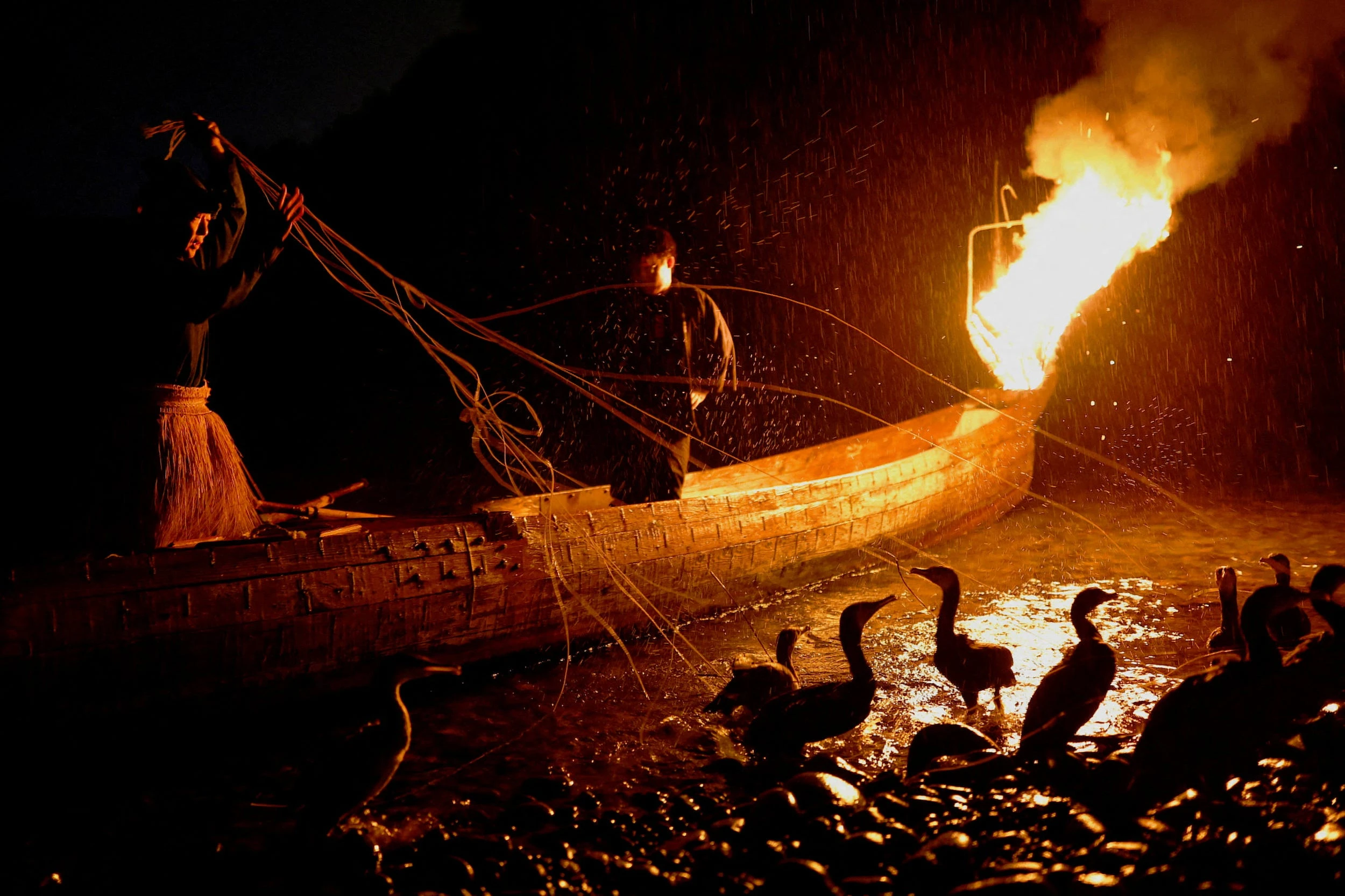 Cormorant fishing has been a tradition for over 1,300 years. Climate change might spell its end. 