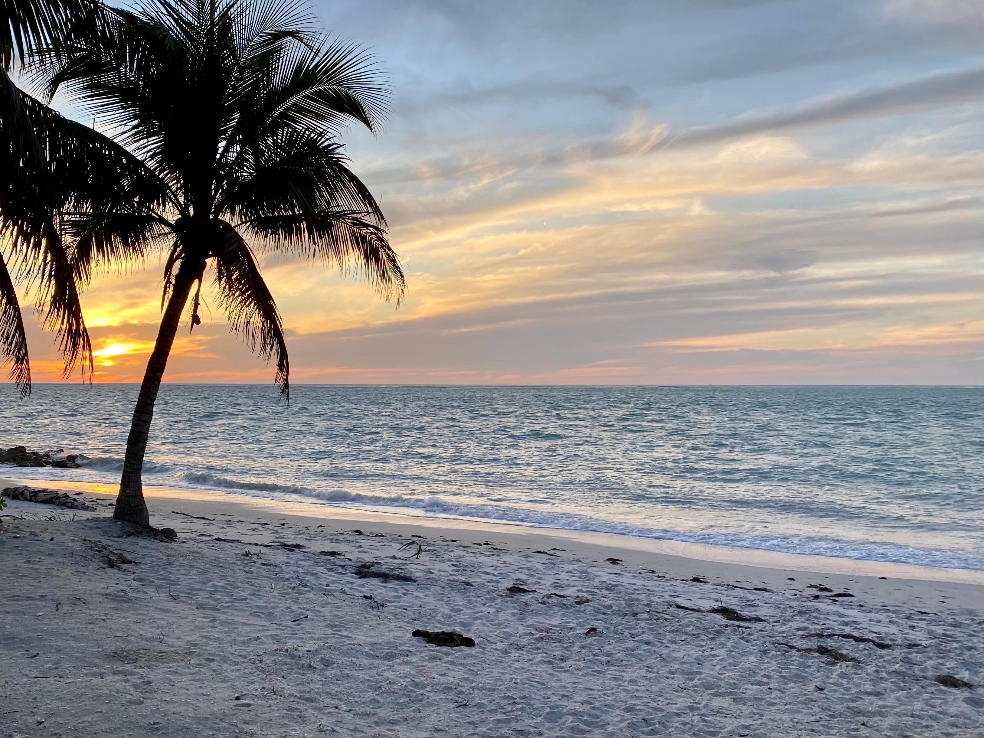 I've lived in Florida for over 25 years. These 6 islands probably aren't on your radar — but should be.