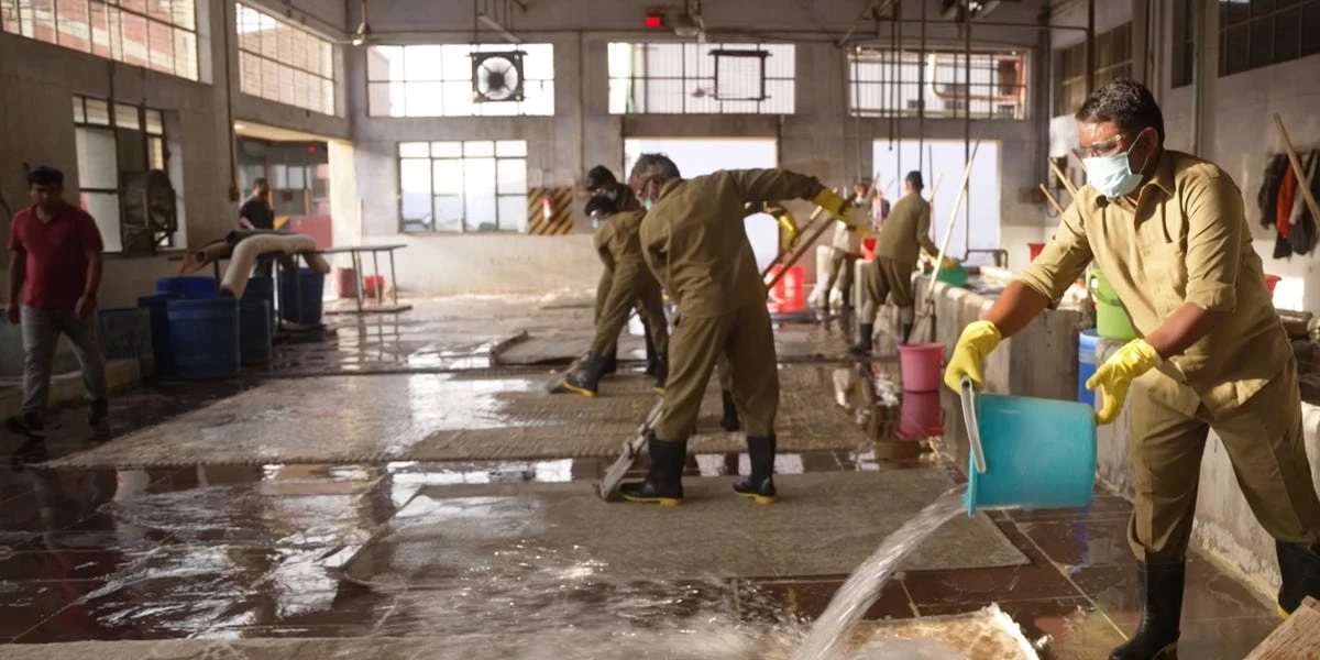 Inside the carpet factory supplying West Elm and Pottery Barn