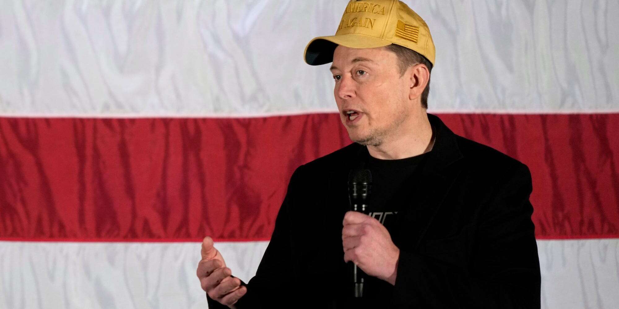 A running list of Elon Musk's wins and losses in Washington since Trump's election