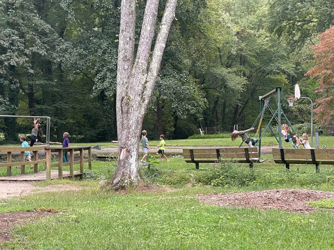 I set up a free-range playdate for kids in our area. Parents take turns watching the group, and we don't hover over them as they play.