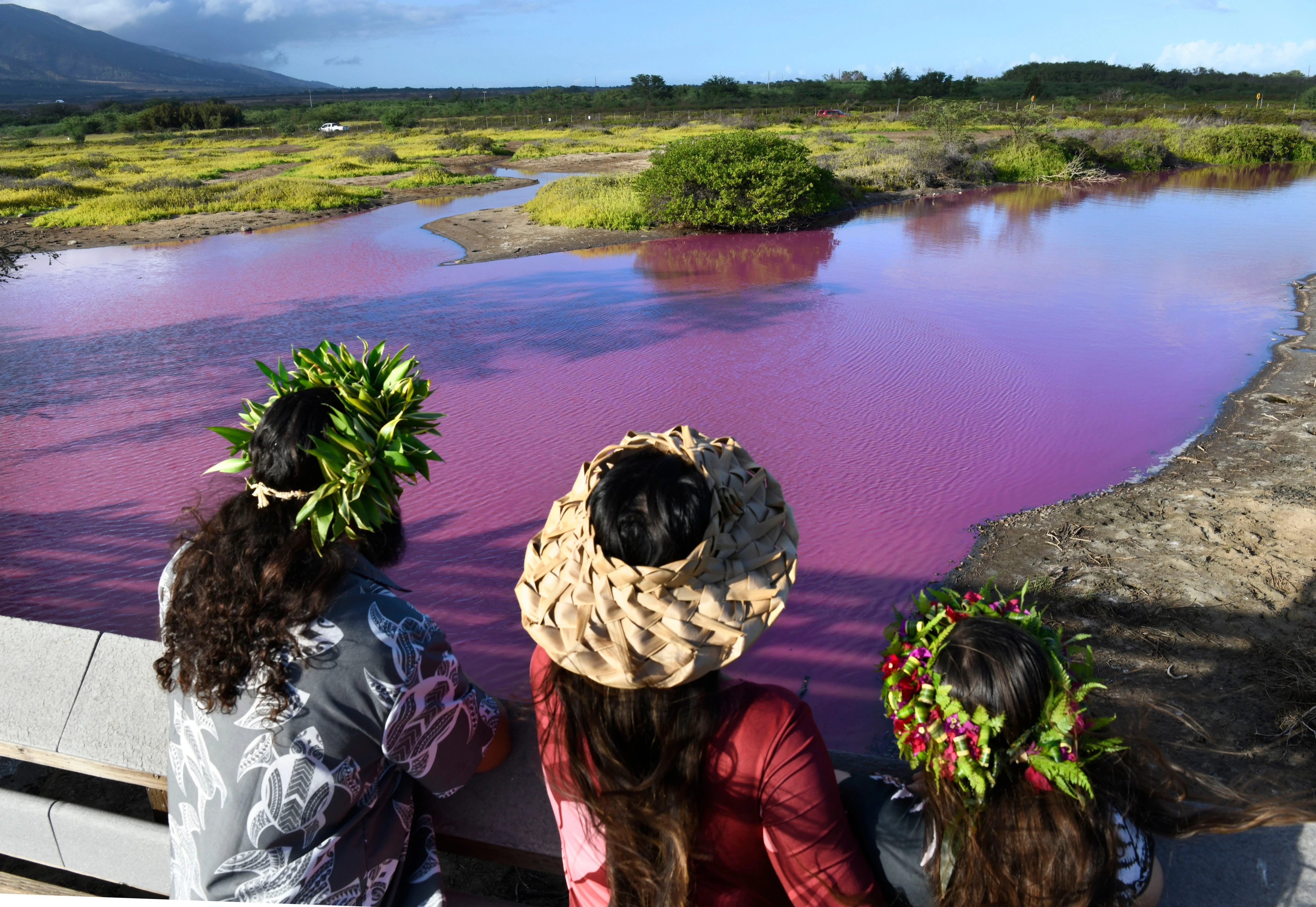 Tourists are flocking to a strange  bubblegum pink pond in Hawaii