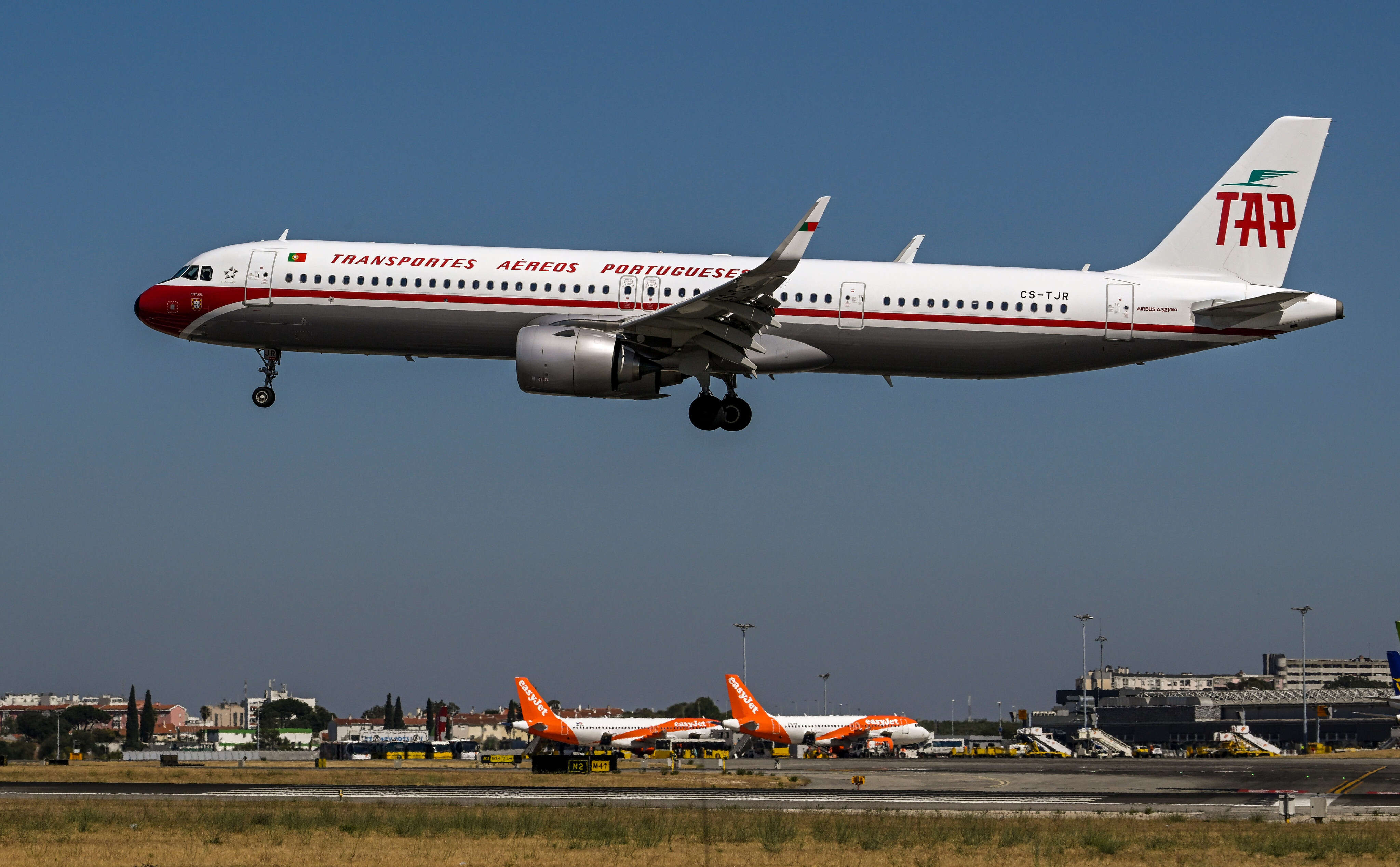 132 hamsters reportedly escaped in the hold of a plane, grounding it for days