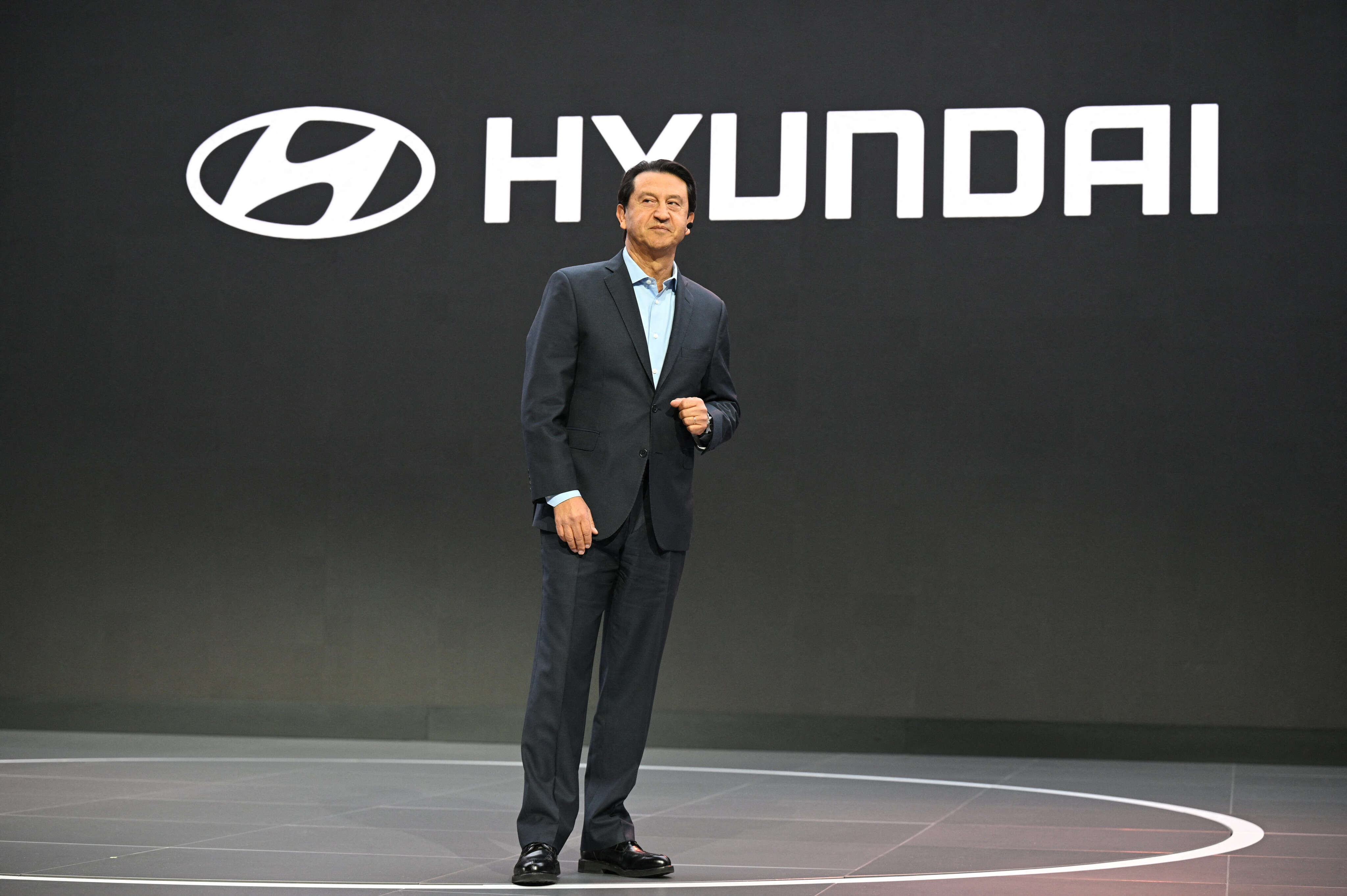 Hyundai CEO says Elon Musk's bromance with Trump will be good for Tesla's rivals